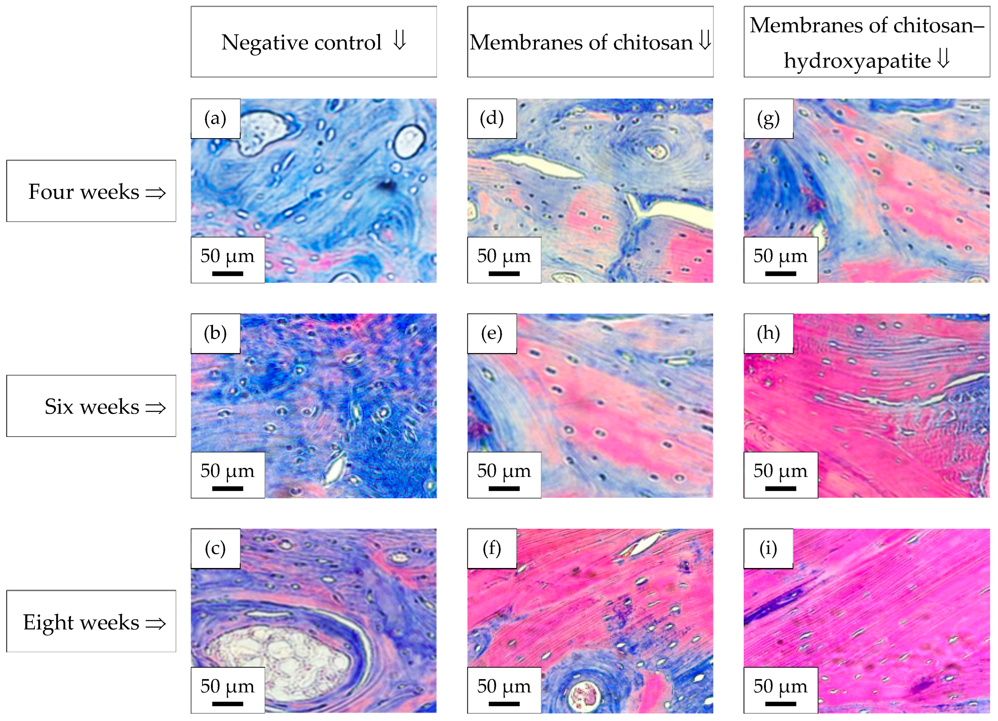 Processes 13 01559 g011