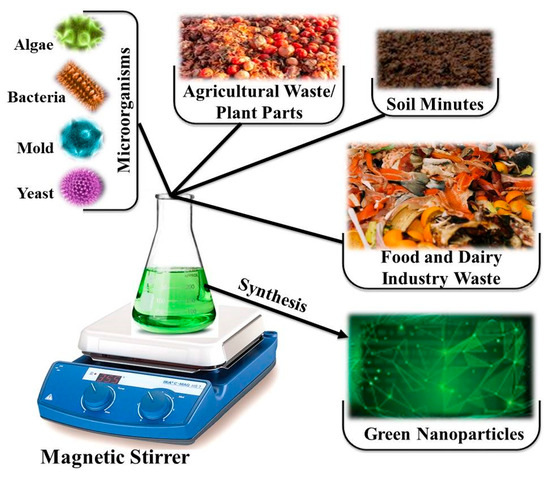 Applications of Green Synthesis of Nanoparticles Using