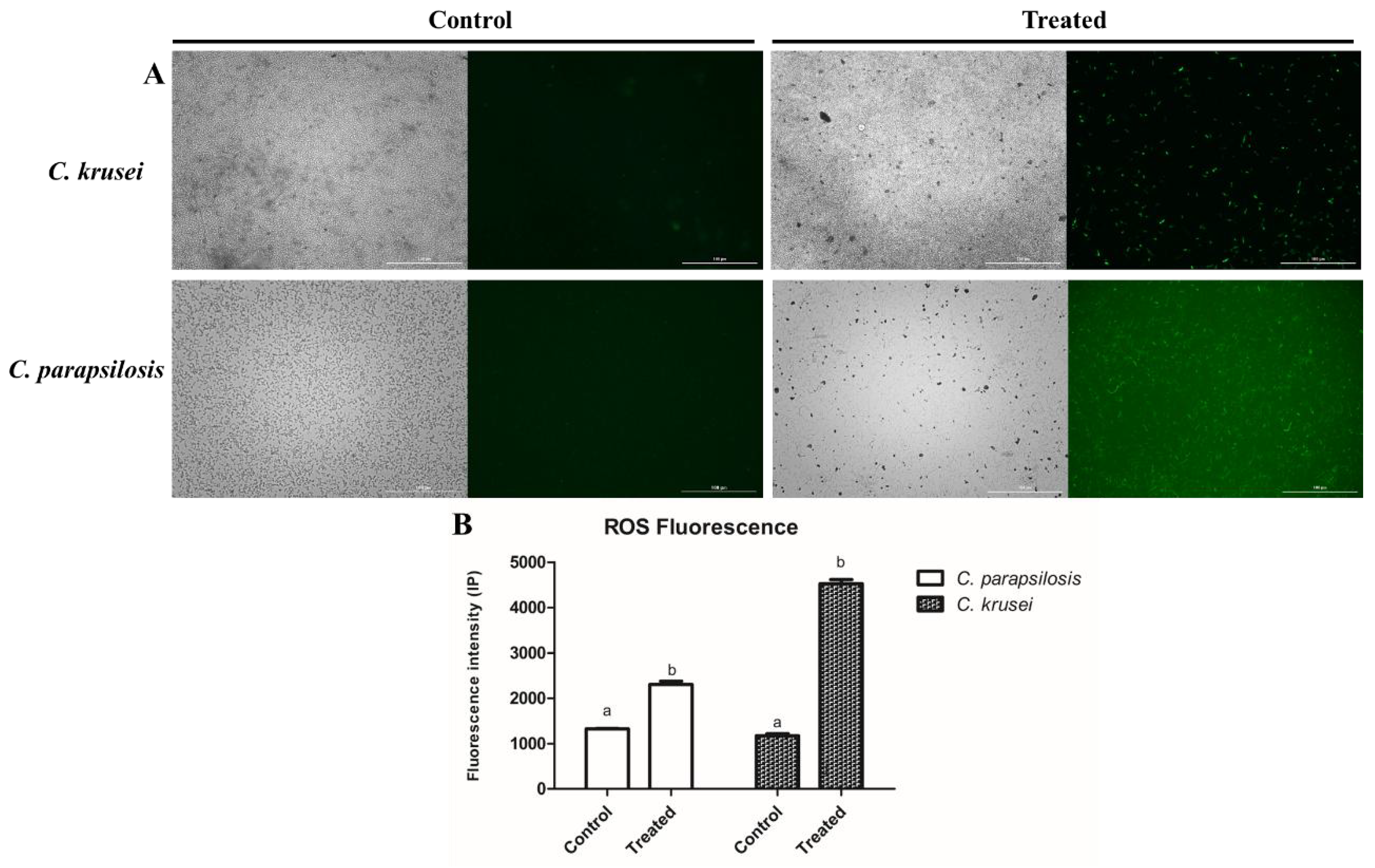 Processes 13 01569 g004