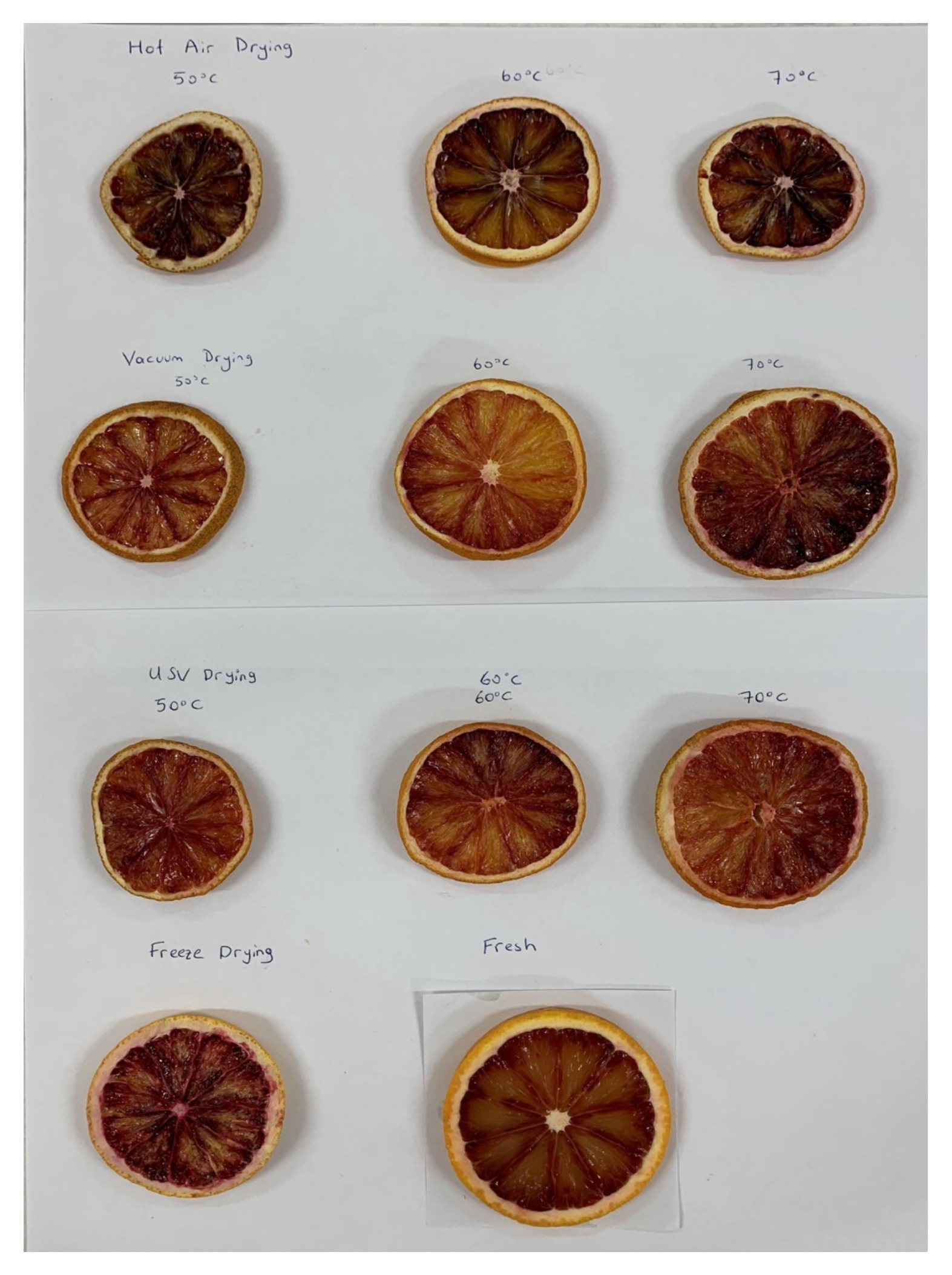 Processes 13 01596 g001