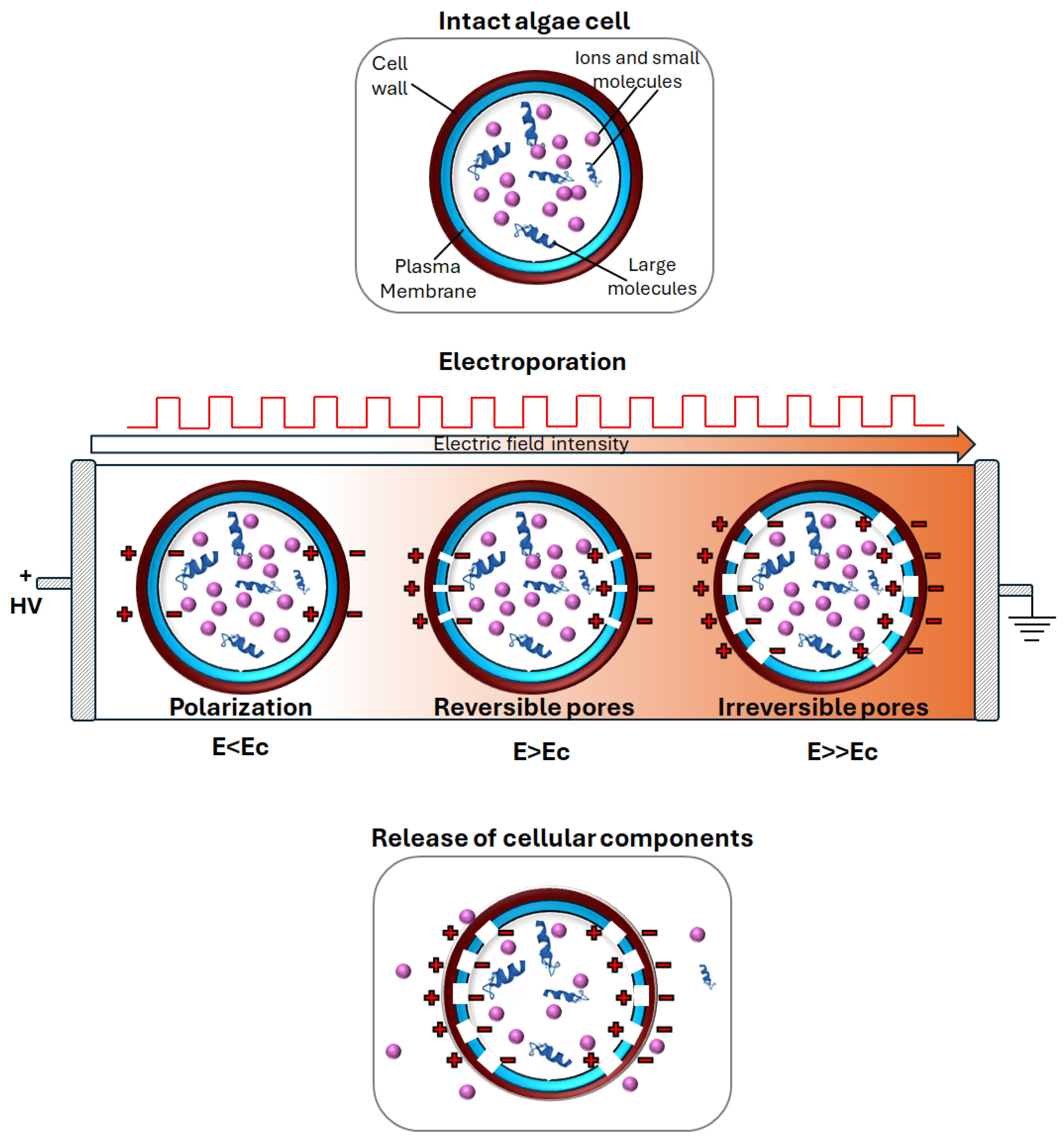 Processes 13 01629 g002