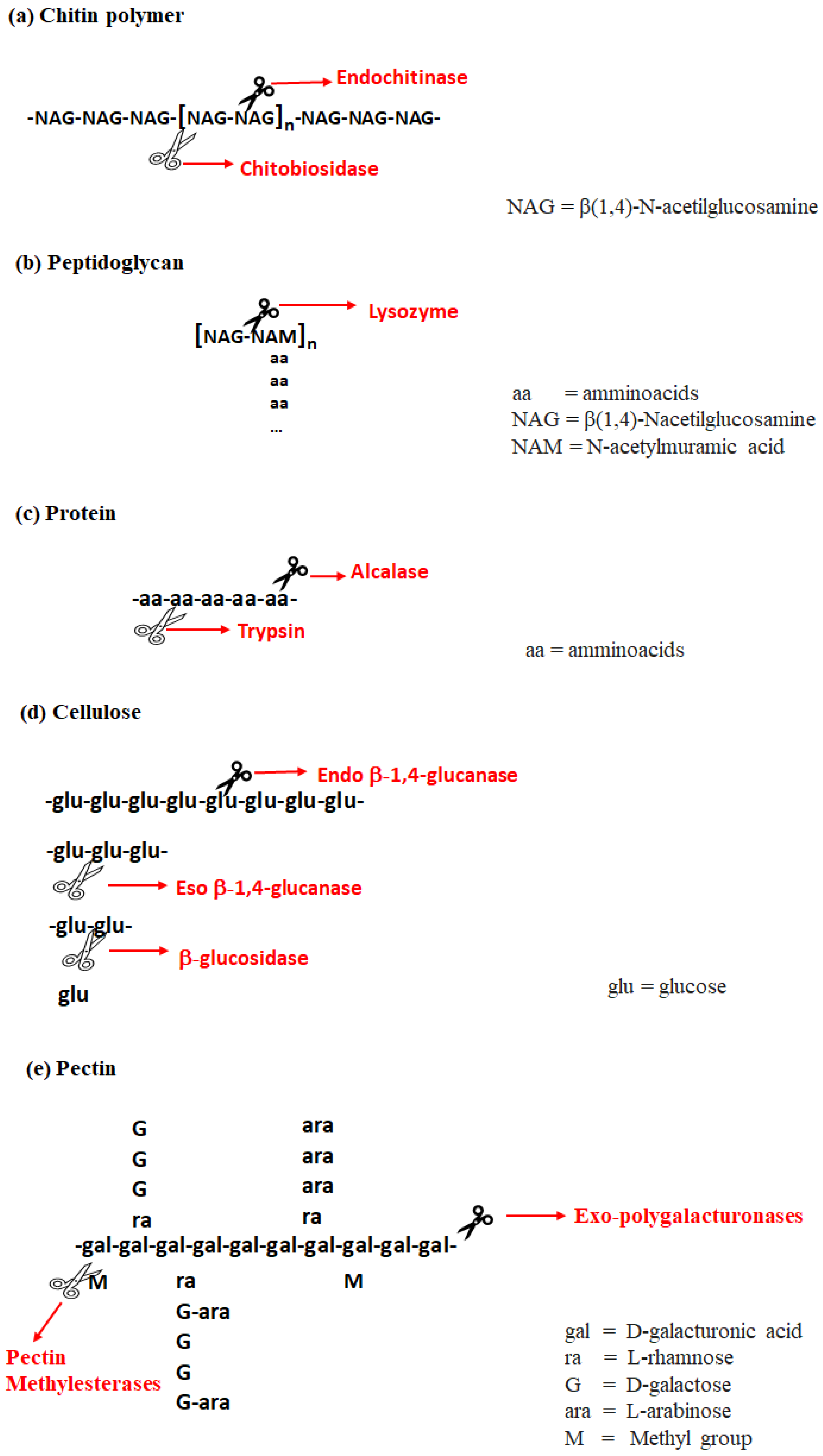 Processes 13 01629 g003