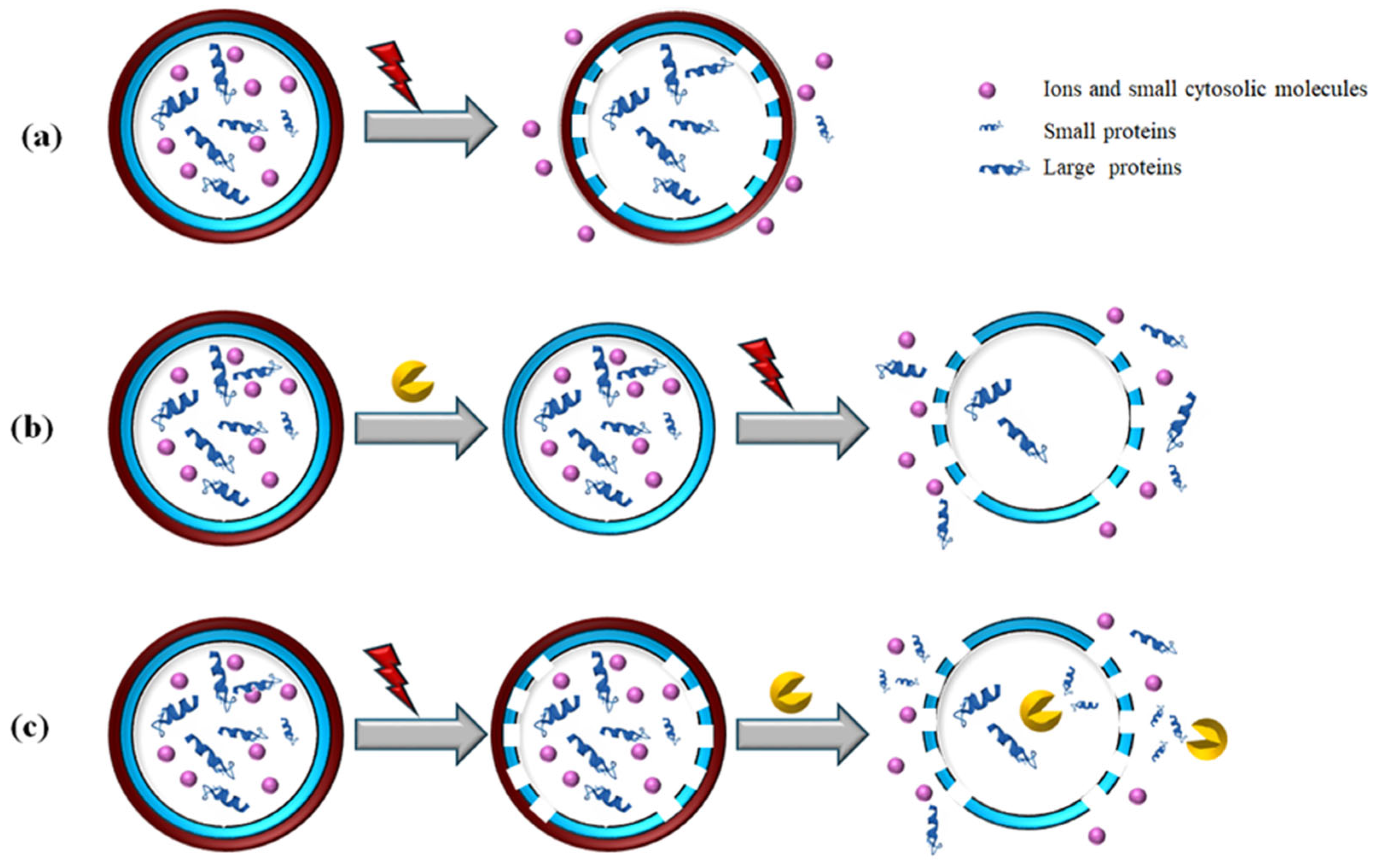 Processes 13 01629 g004