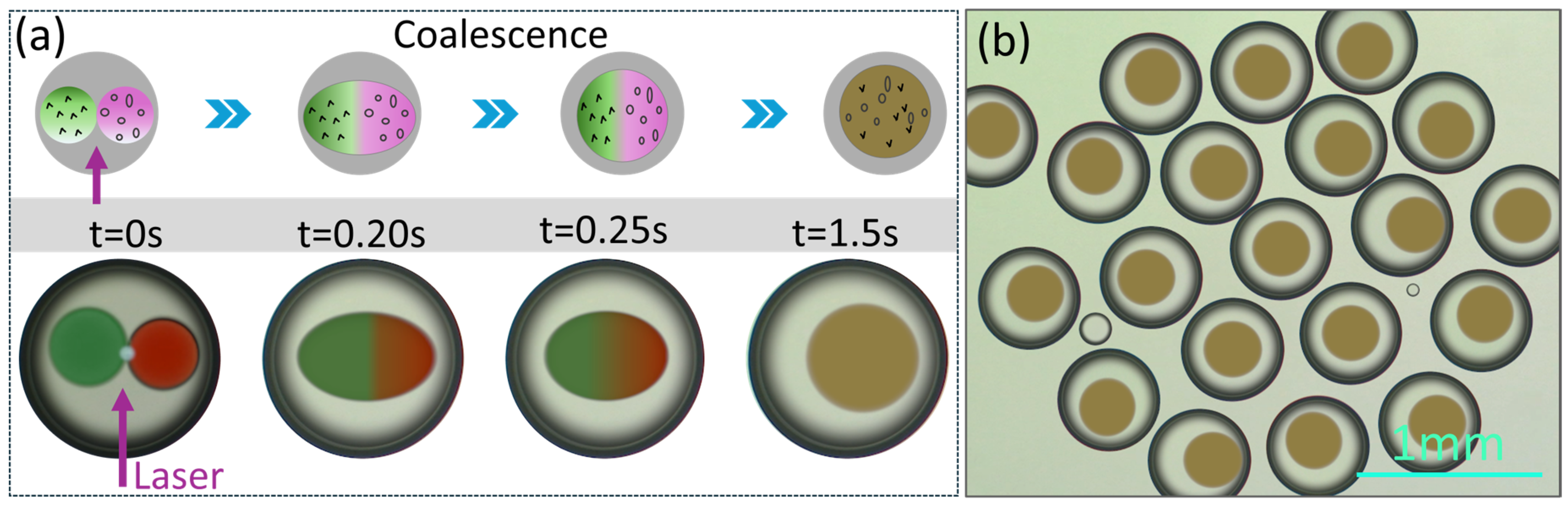 Processes 13 01640 g007
