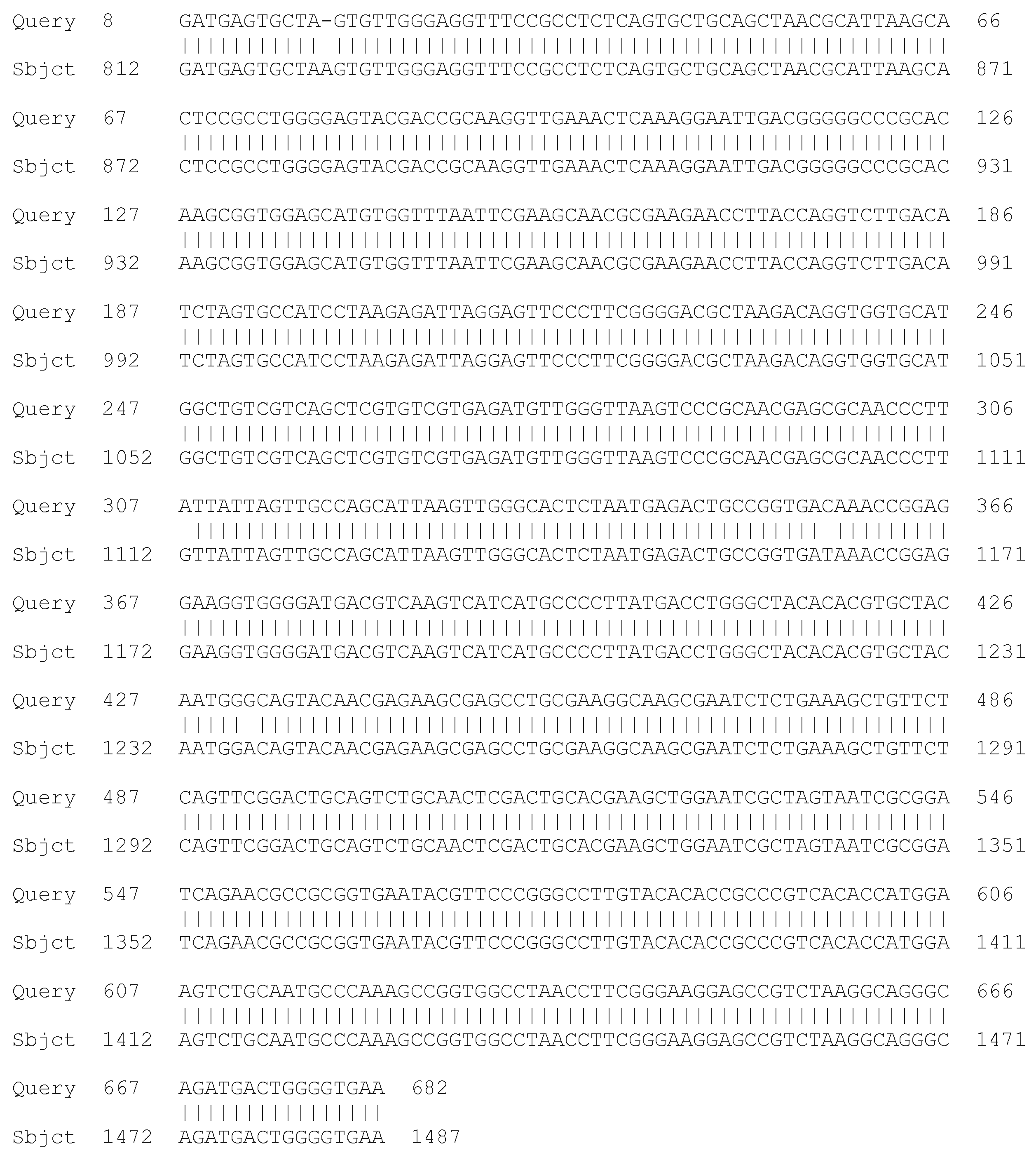 Processes 13 01644 g001 Processes 13 01644 g001