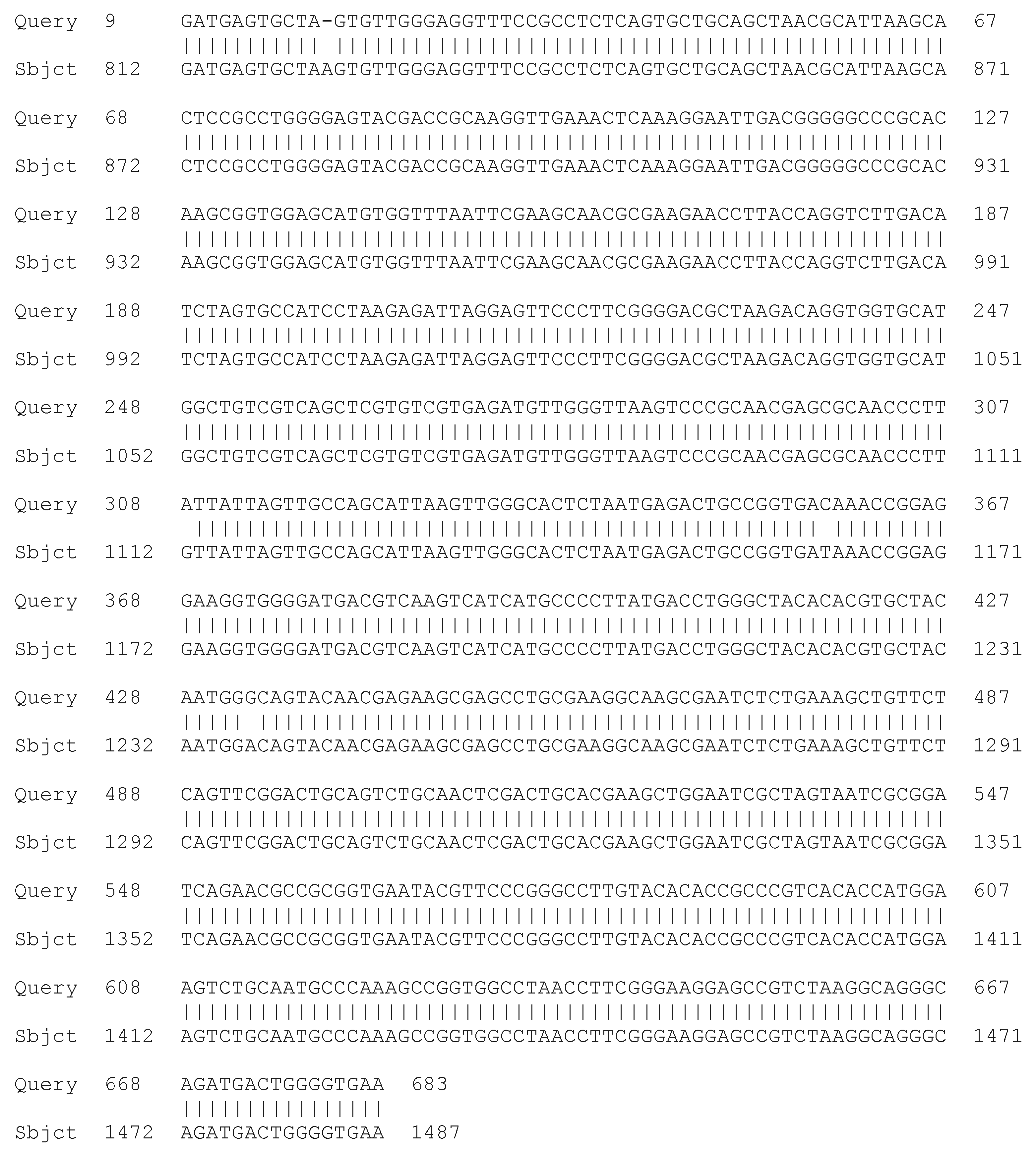 Processes 13 01644 g004 Processes 13 01644 g004