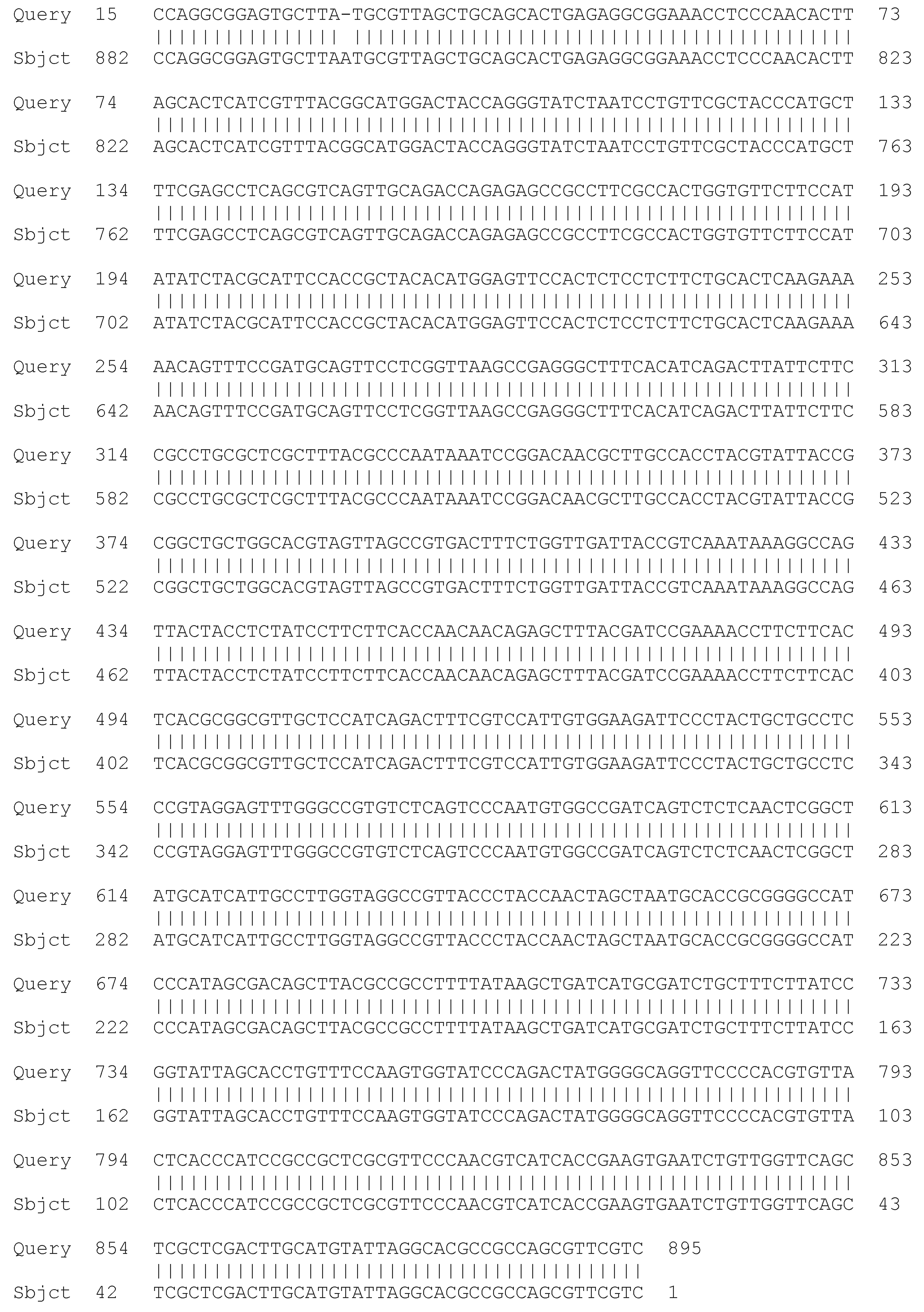 Processes 13 01644 g006 Processes 13 01644 g006