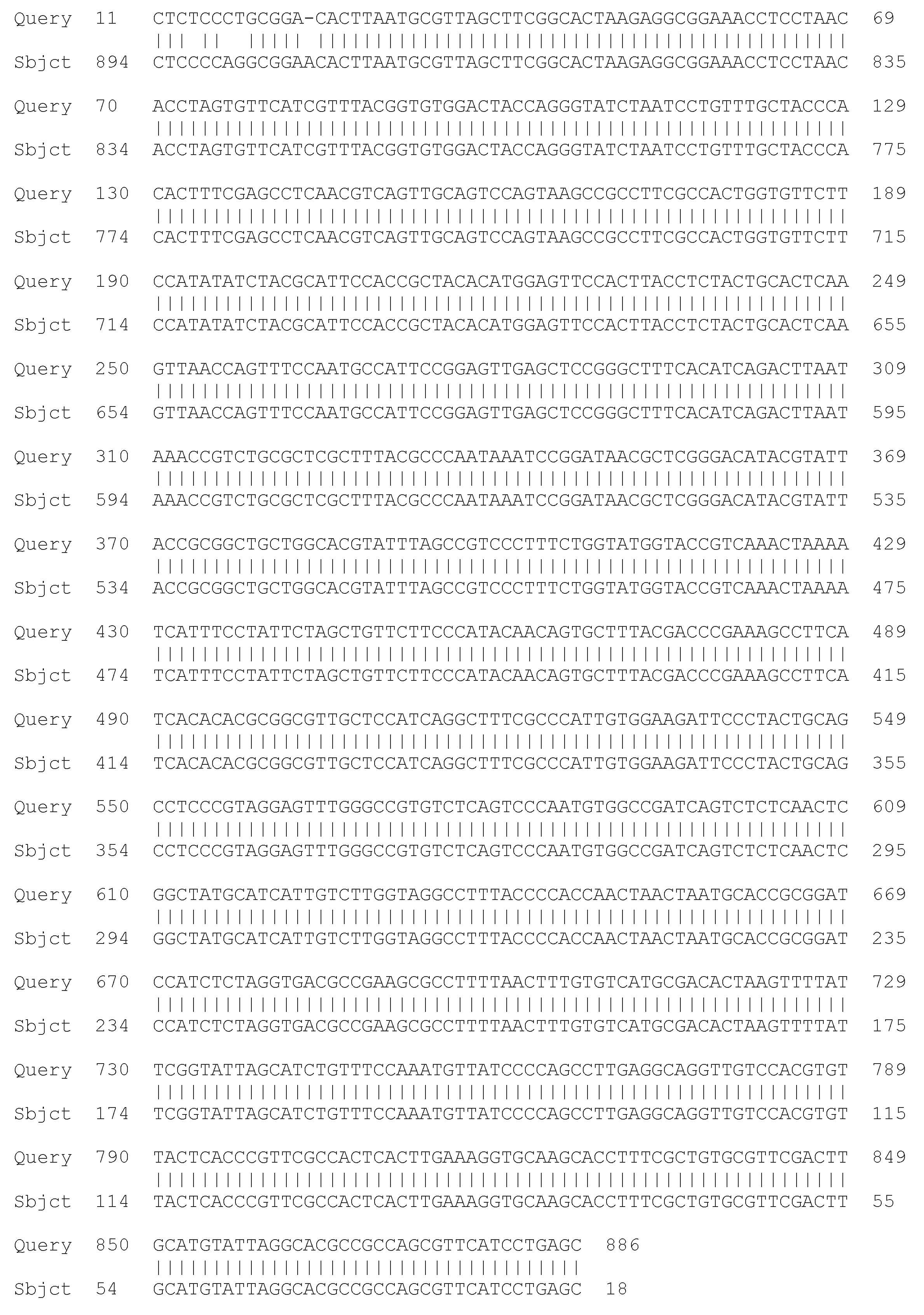 Processes 13 01644 g011 Processes 13 01644 g011