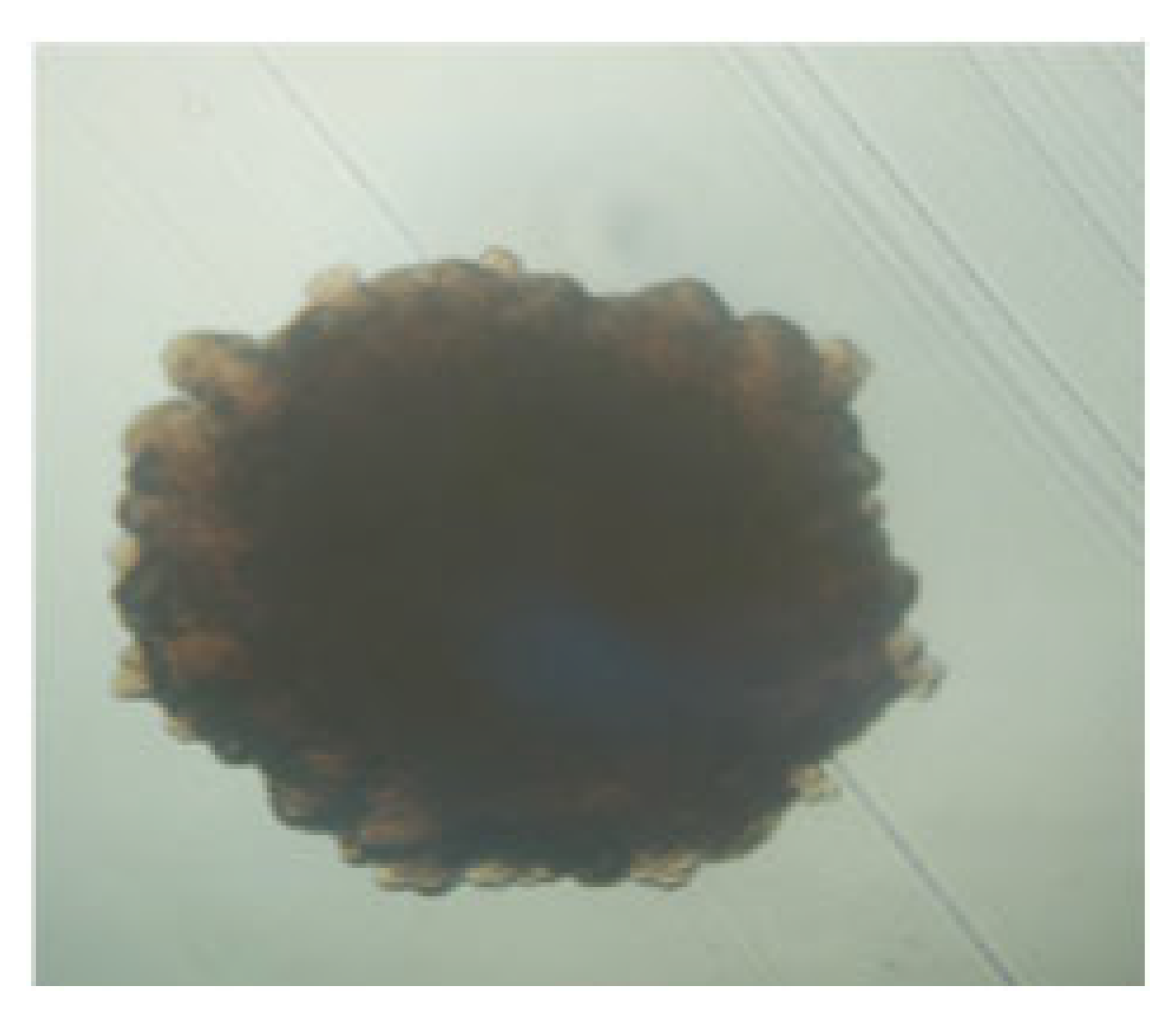 Processes 13 01644 i002 Processes 13 01644 i002