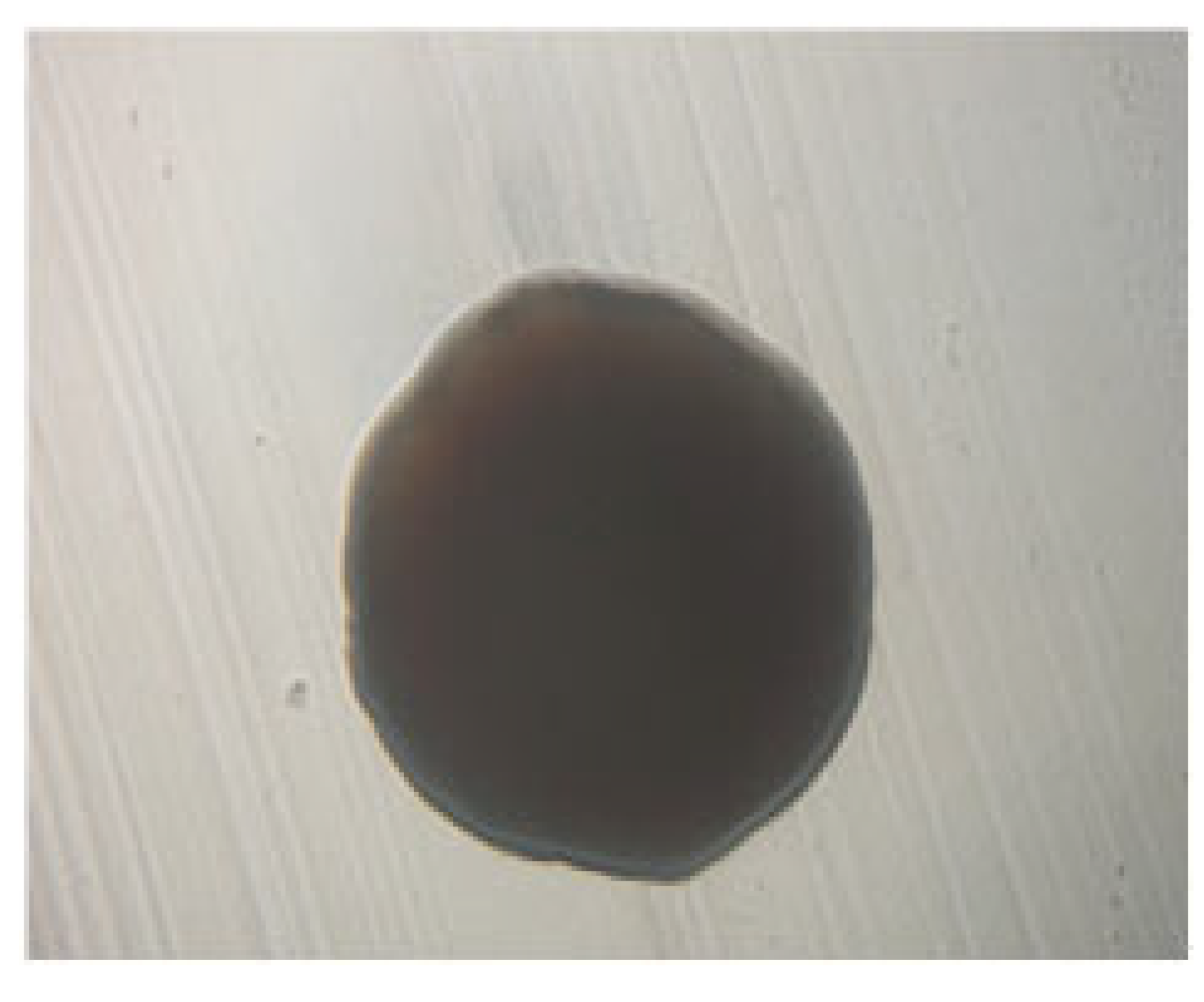 Processes 13 01644 i004 Processes 13 01644 i004