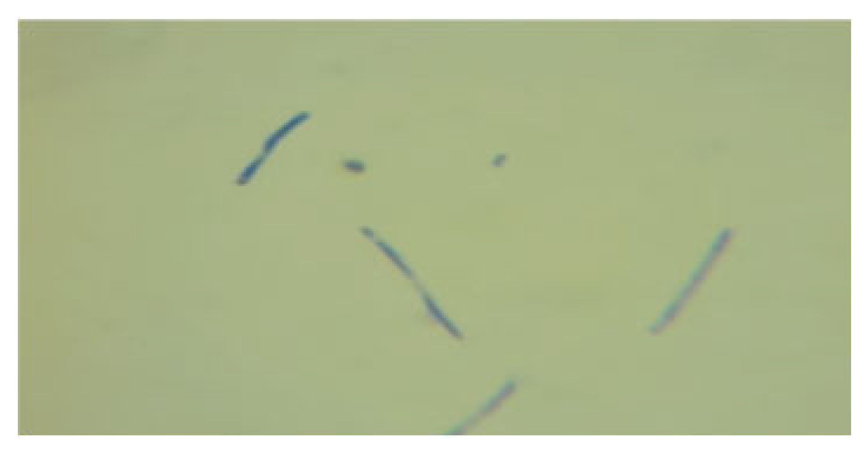 Processes 13 01644 i005 Processes 13 01644 i005