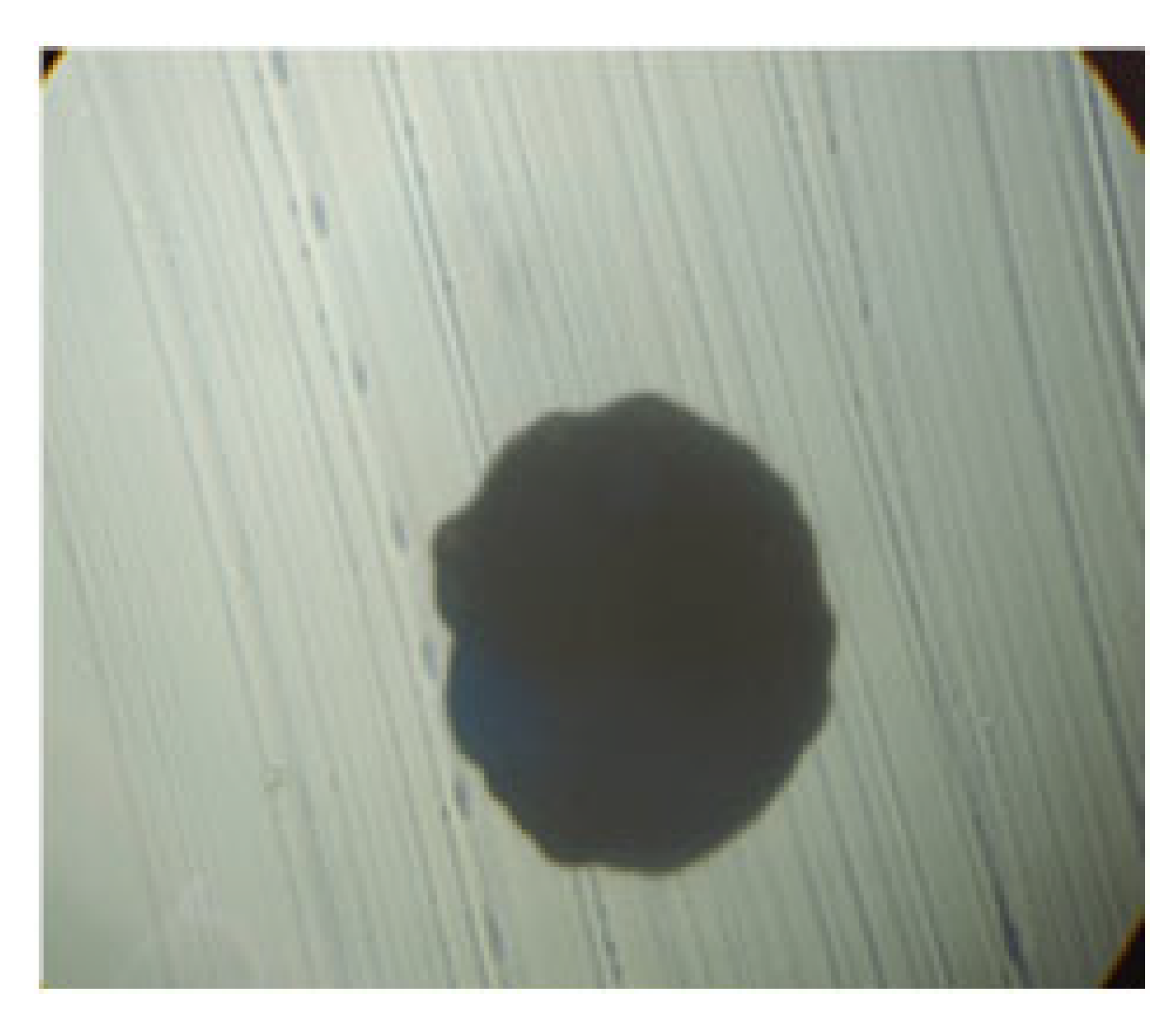 Processes 13 01644 i006 Processes 13 01644 i006