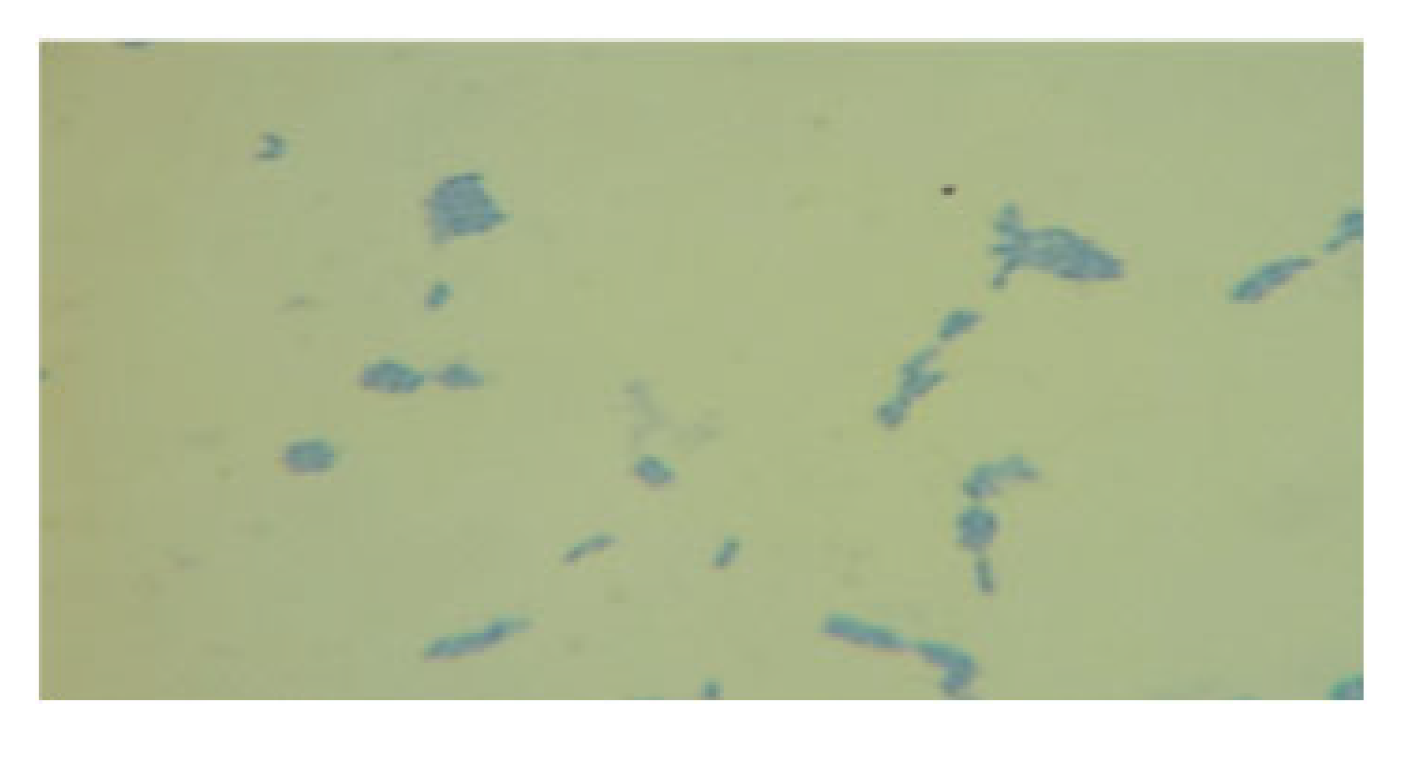 Processes 13 01644 i015 Processes 13 01644 i015