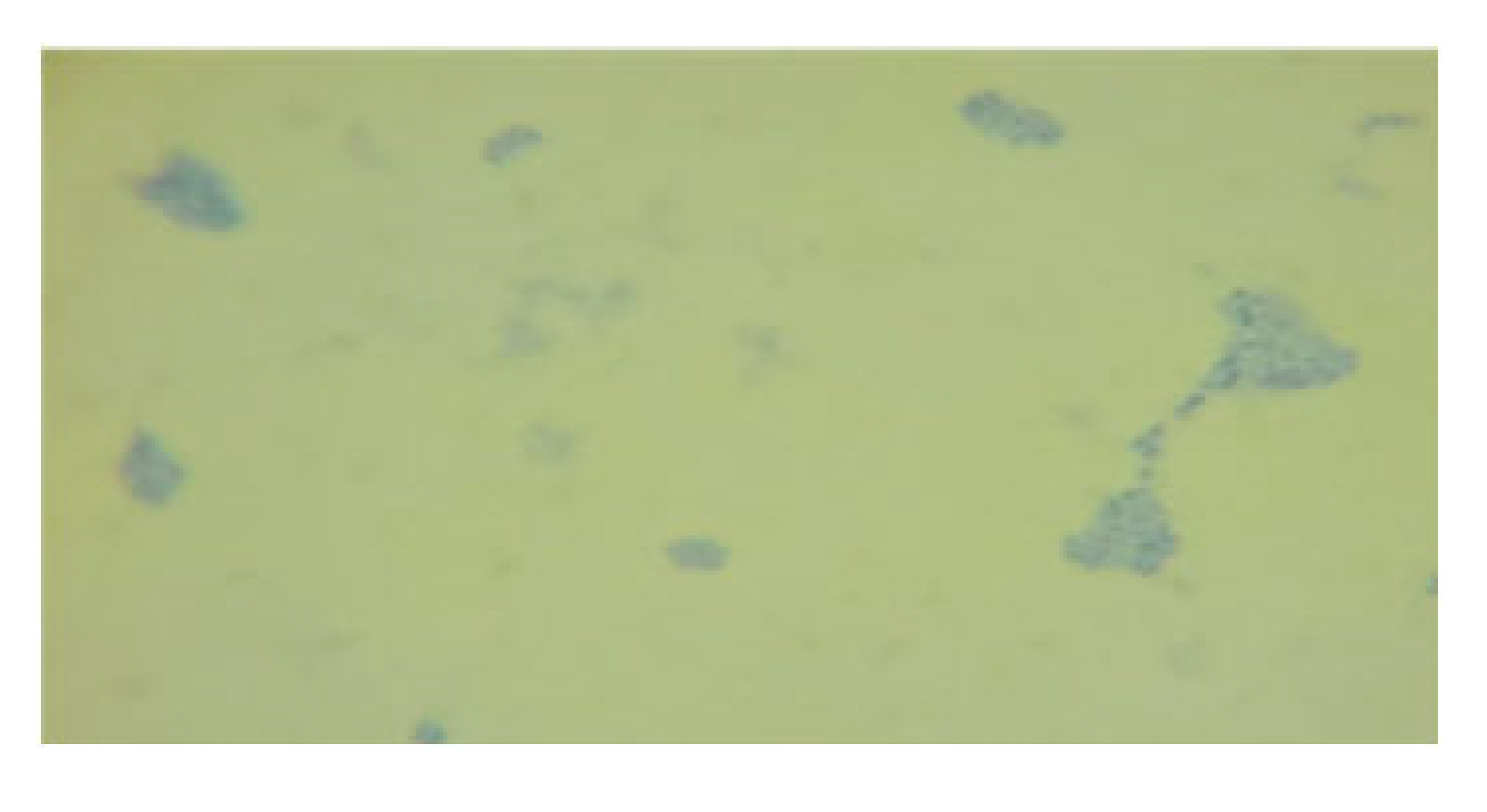 Processes 13 01644 i021 Processes 13 01644 i021