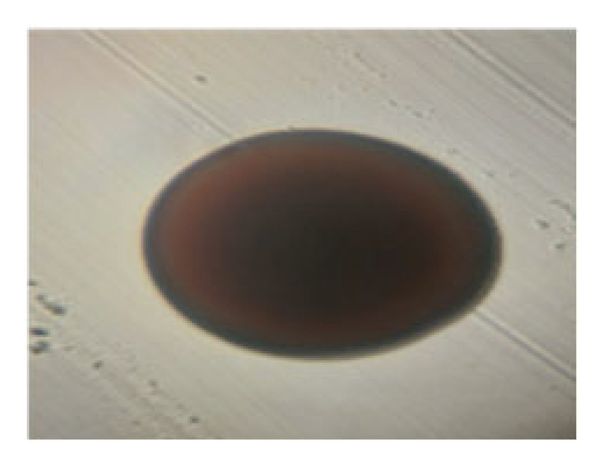 Processes 13 01644 i022 Processes 13 01644 i022