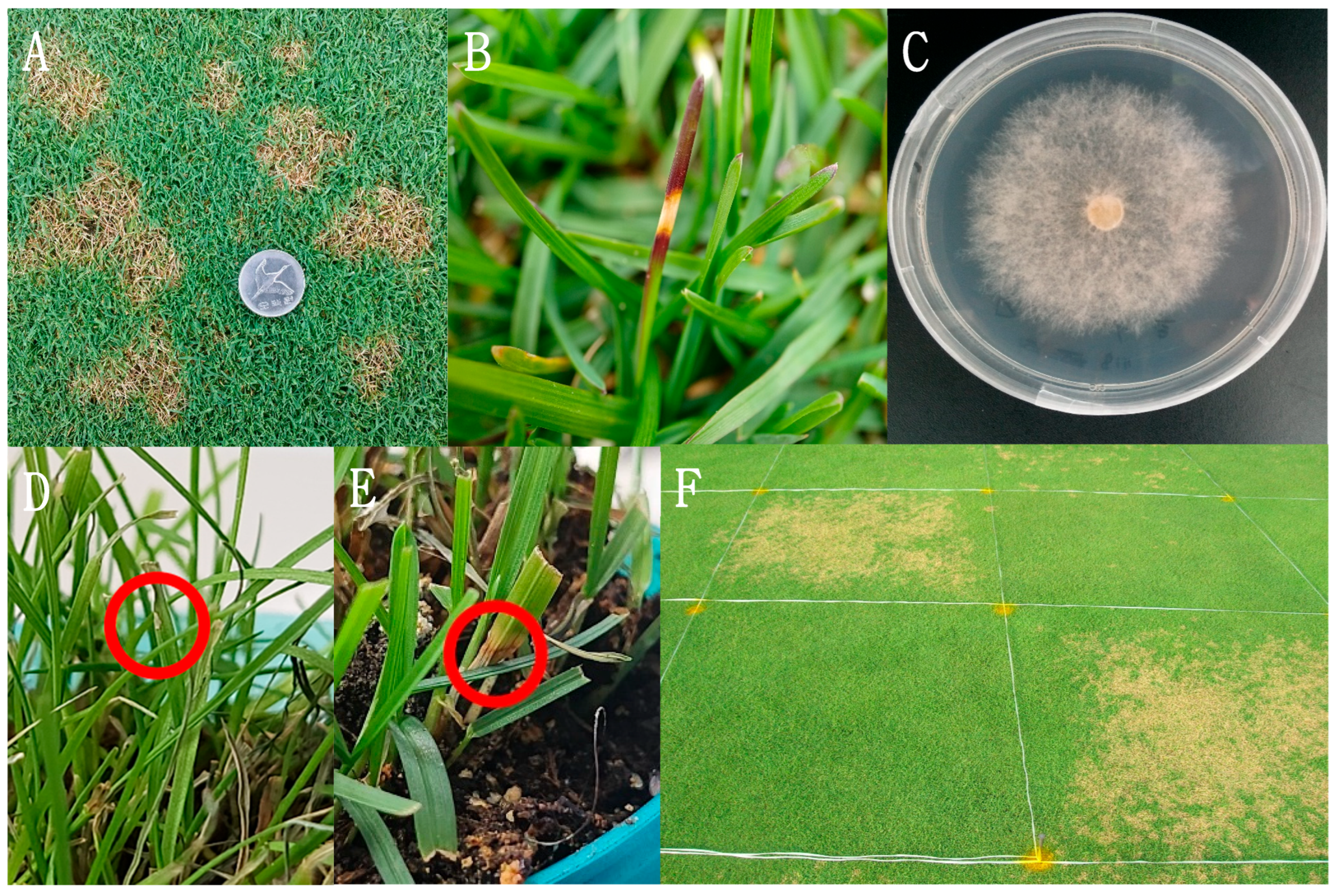 Processes 13 01694 g001