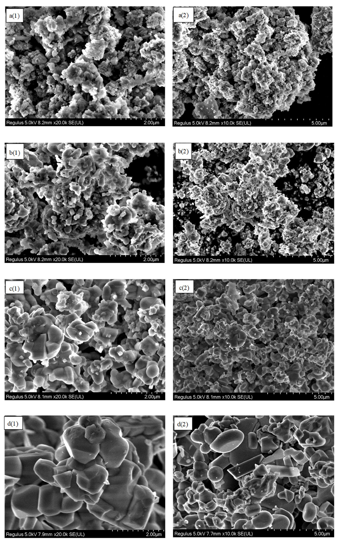 Processes 13 01716 g003