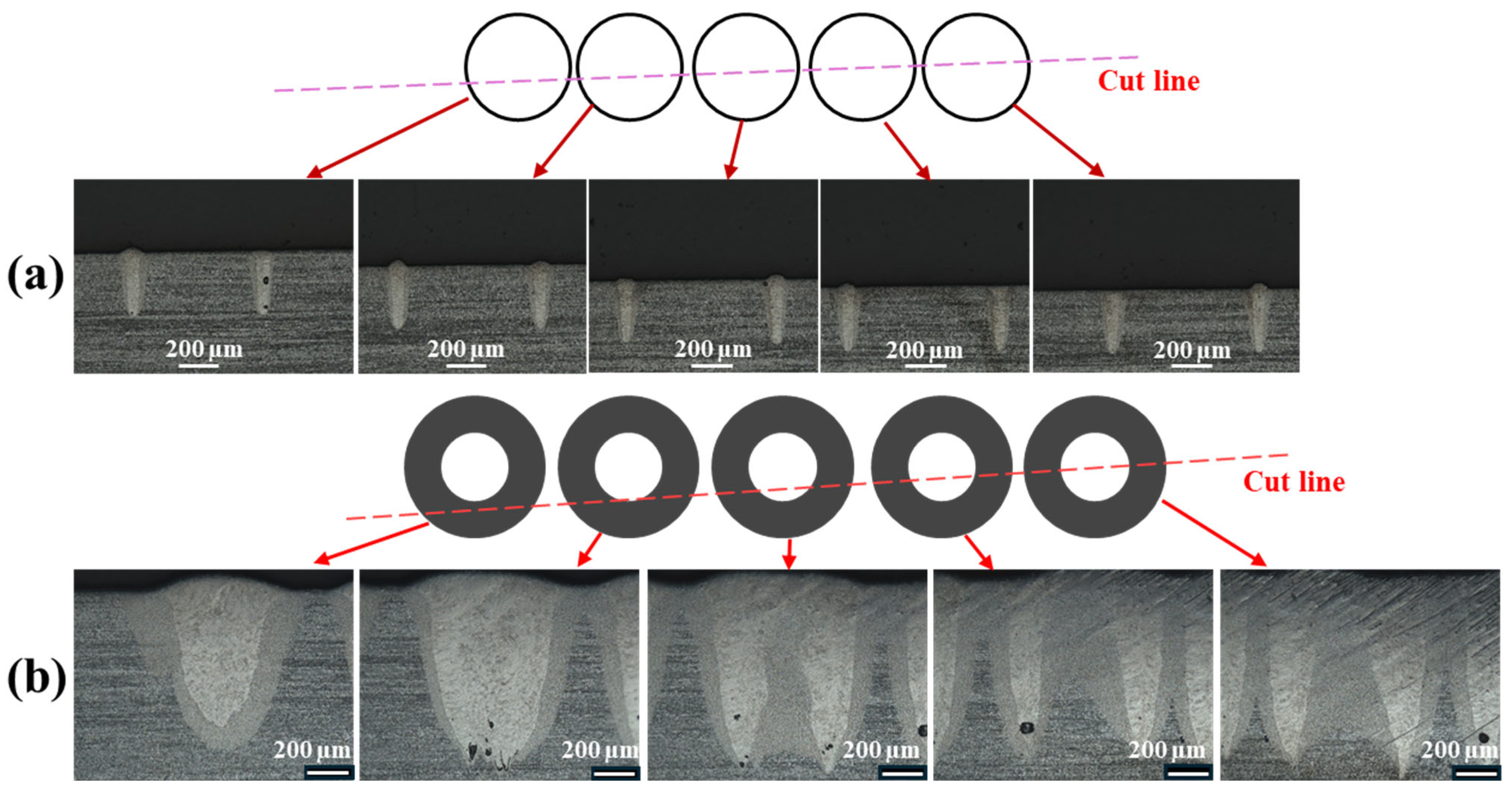 Processes 13 01761 g008