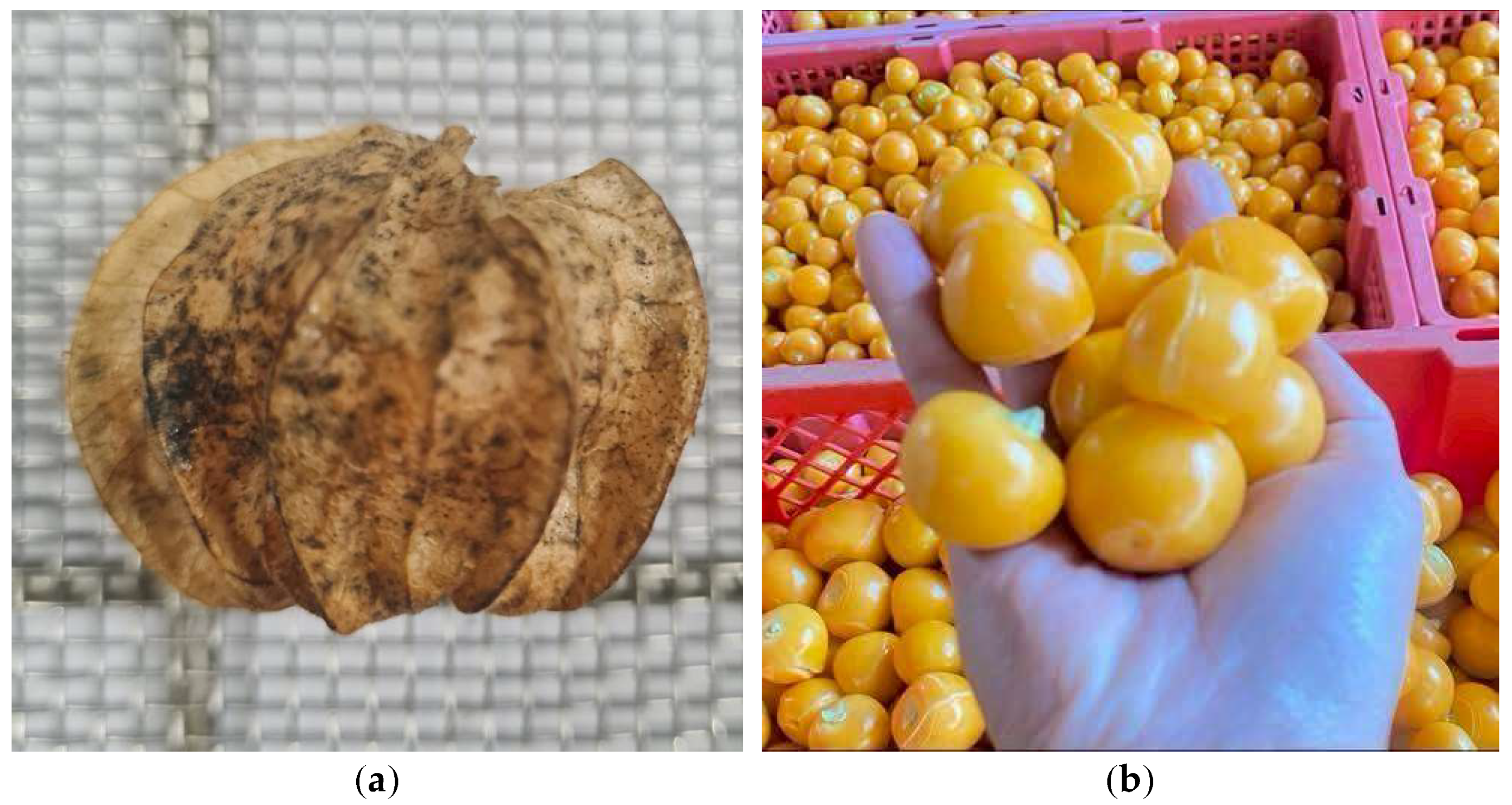 Processes 13 01790 g001