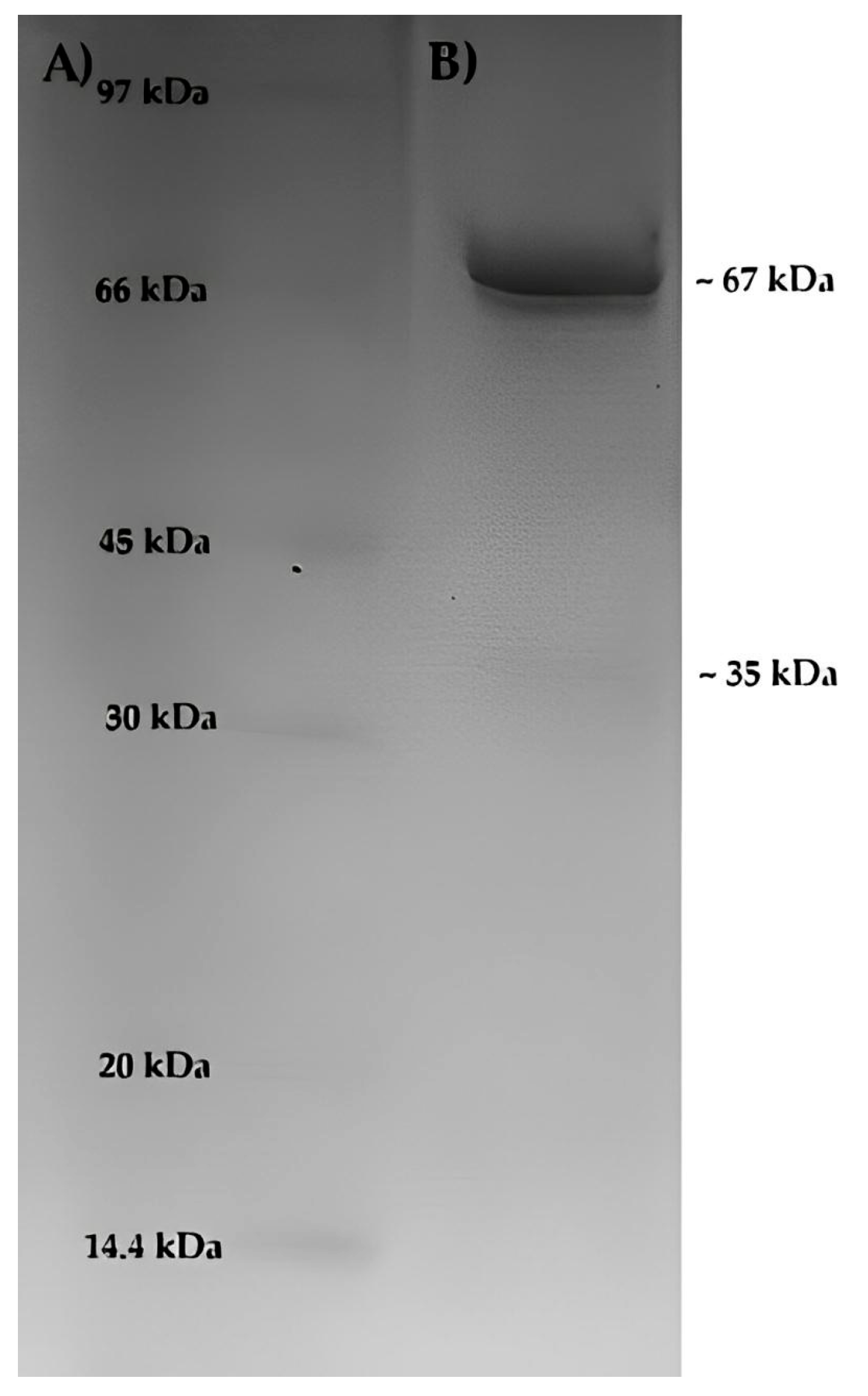 Processes 13 01815 g009 Processes 13 01815 g009