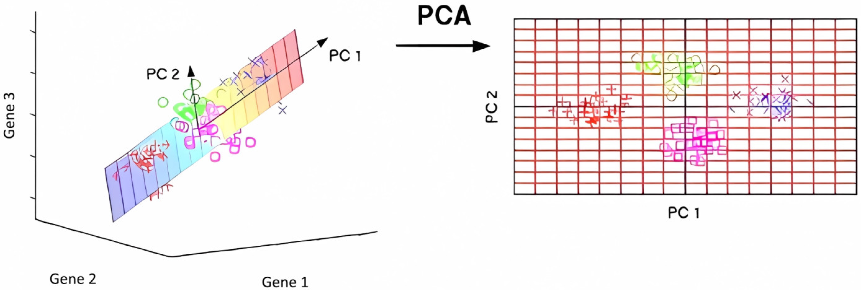 Processes 13 01818 g003