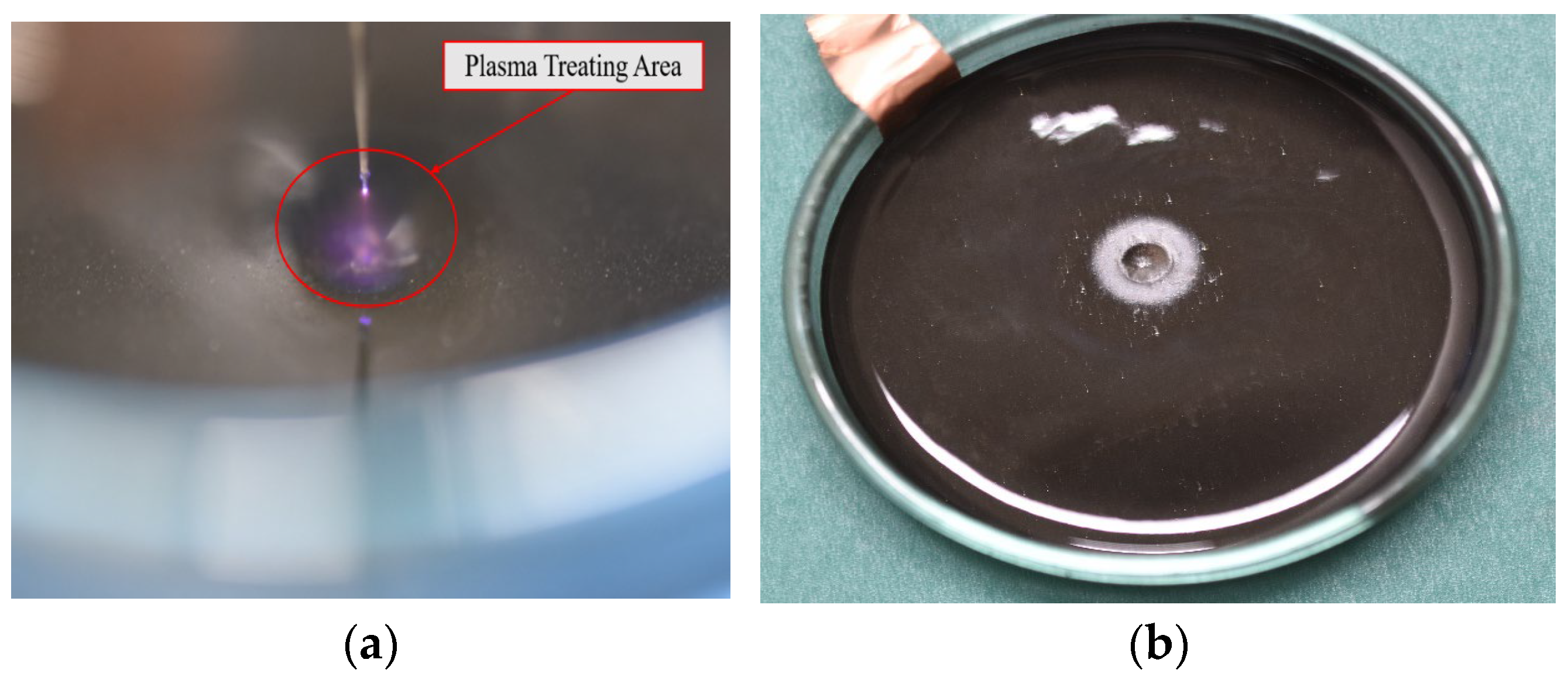 Processes 13 01822 g005