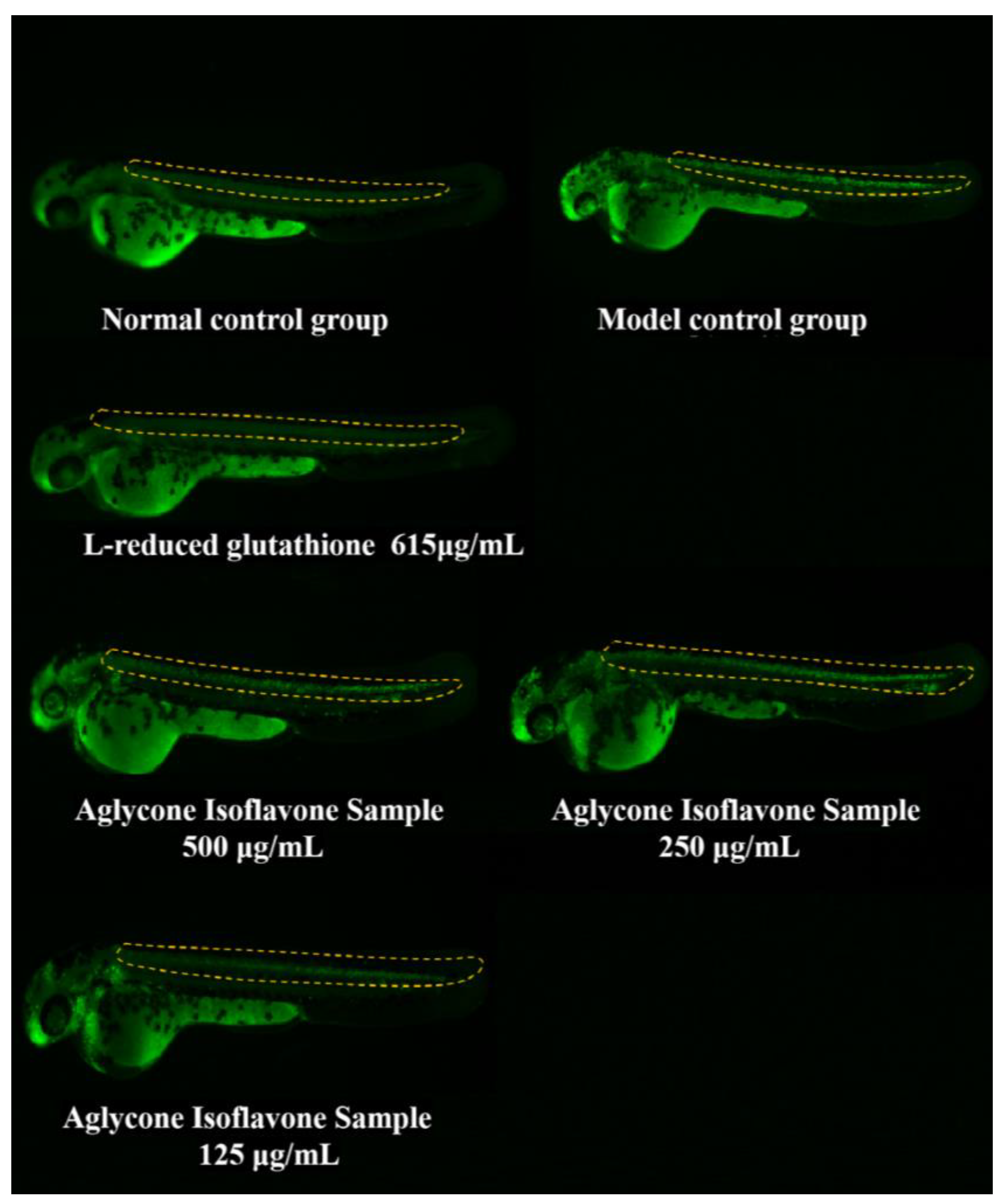 Processes 13 01831 g007
