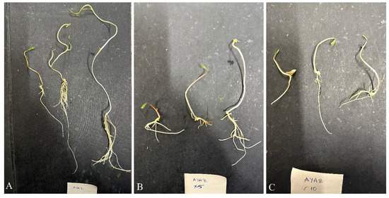 Integrating Machine Learning and In Vitro Screening to