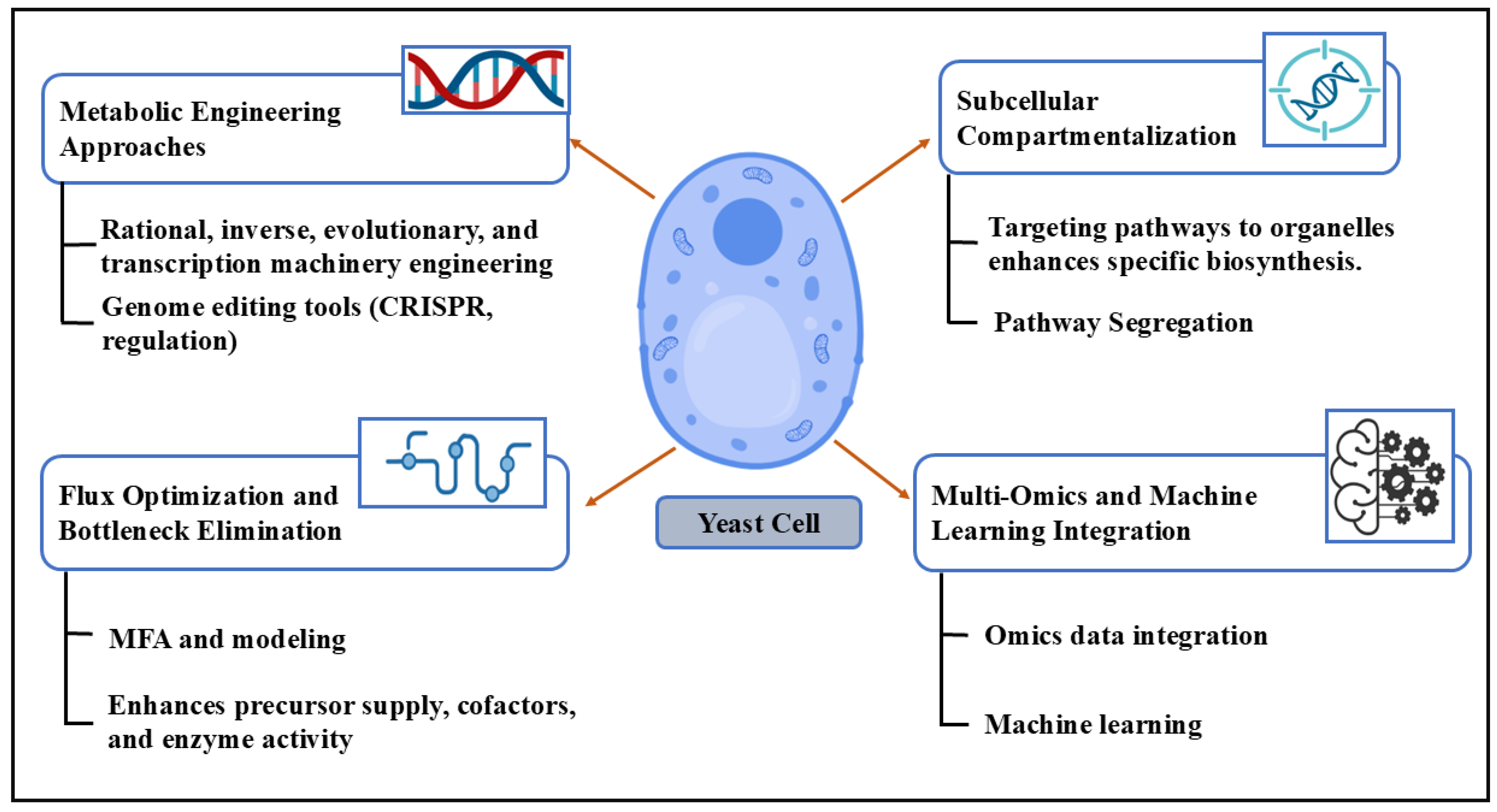 Processes 13 01852 g001 Processes 13 01852 g001