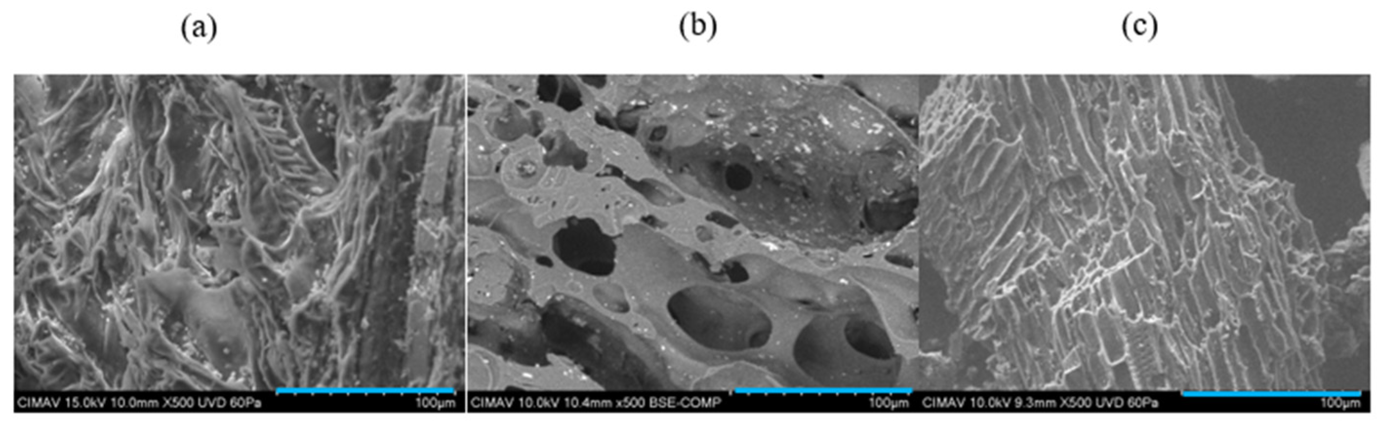 Processes 13 01861 g005