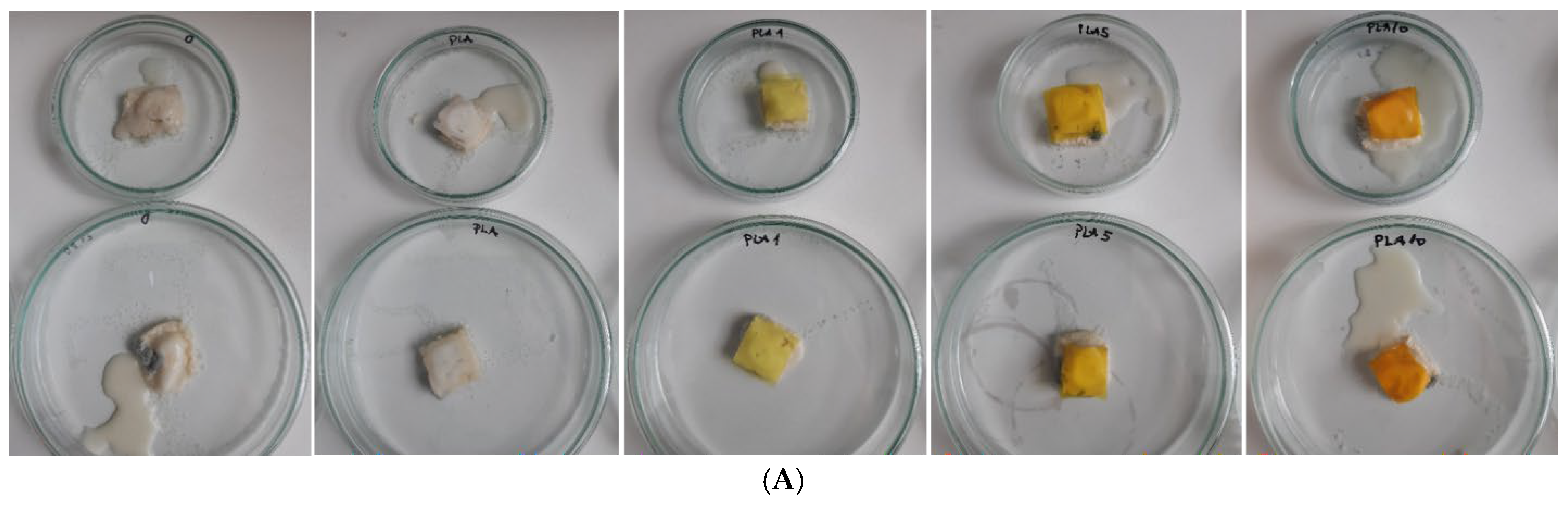 Processes 13 01881 g010a
