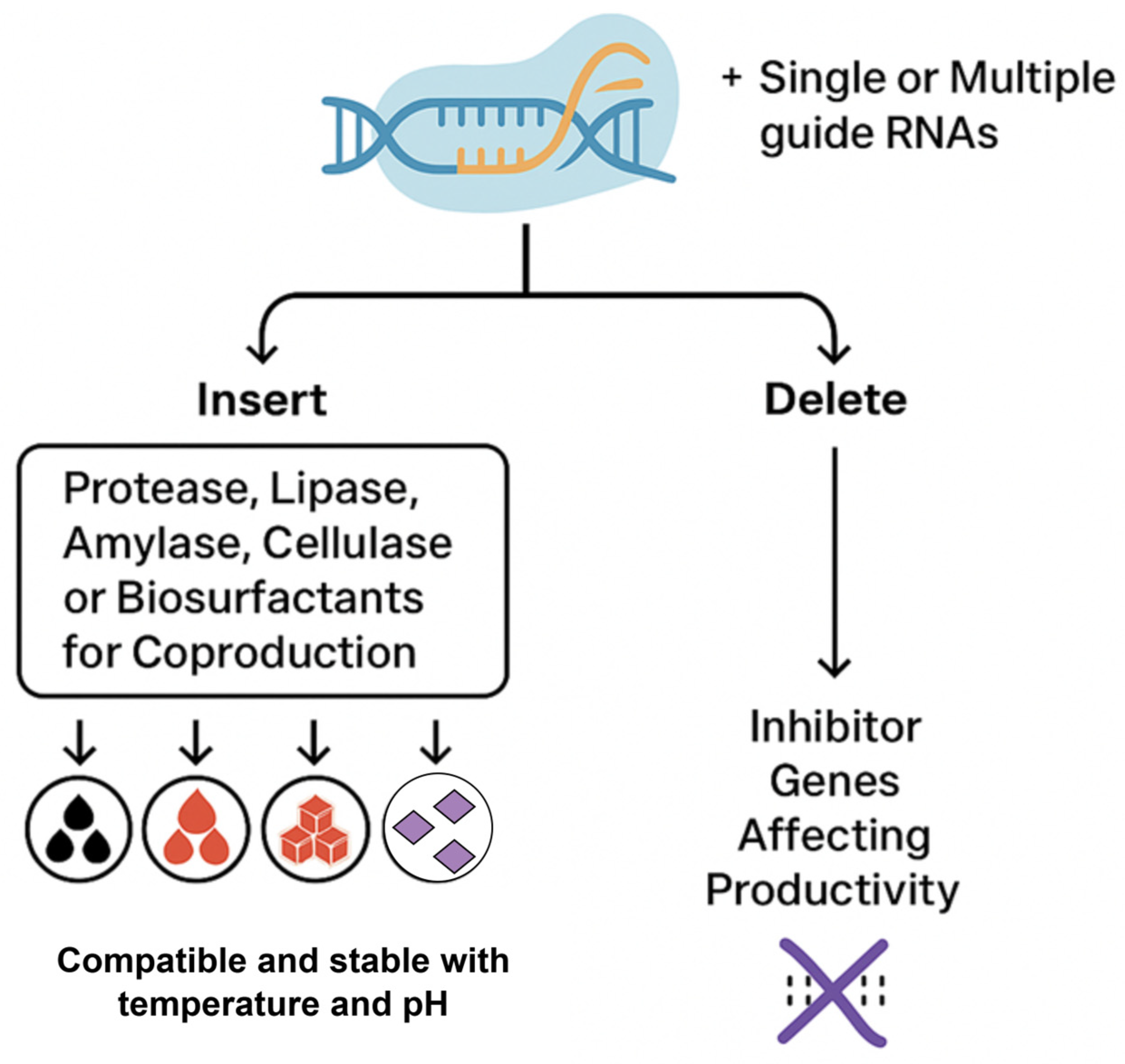 Processes 13 01885 g003