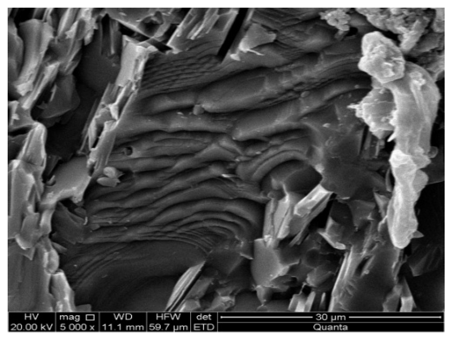 Processes 13 01900 g002