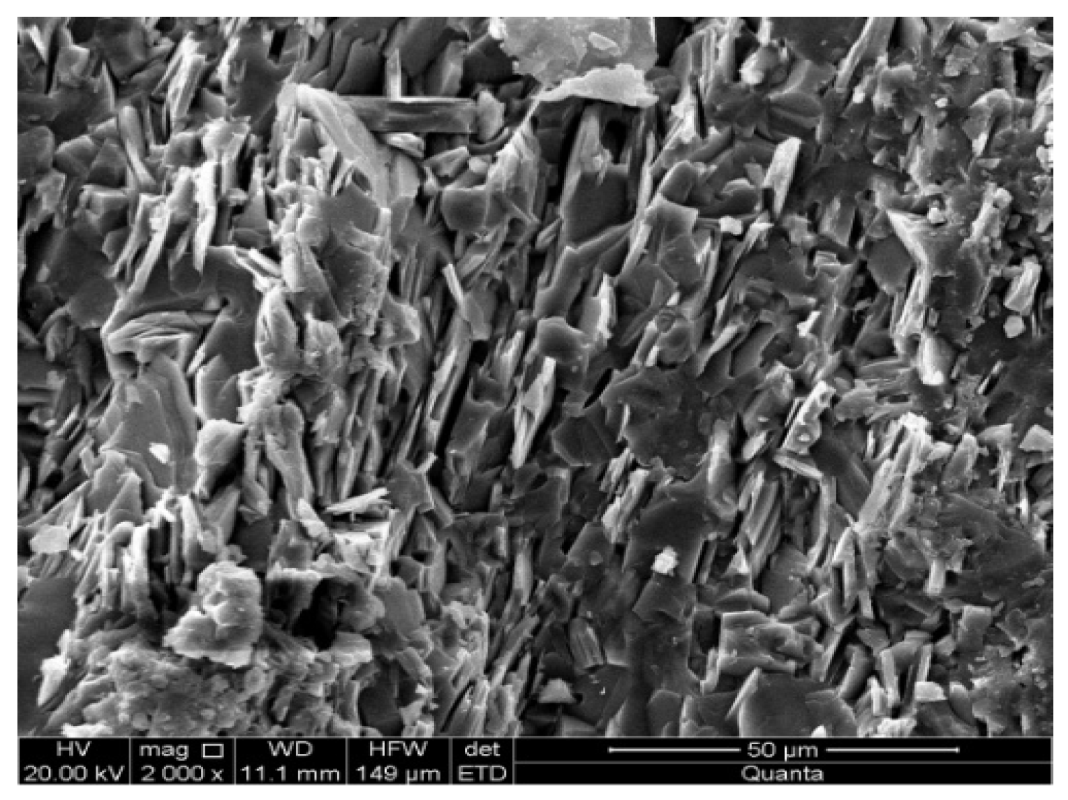 Processes 13 01900 g004