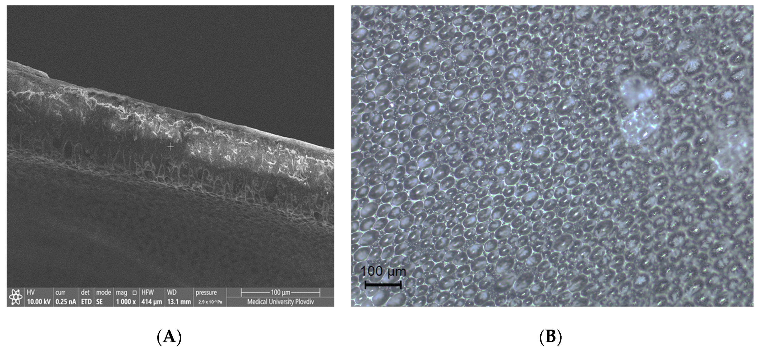 Processes 13 01961 g003