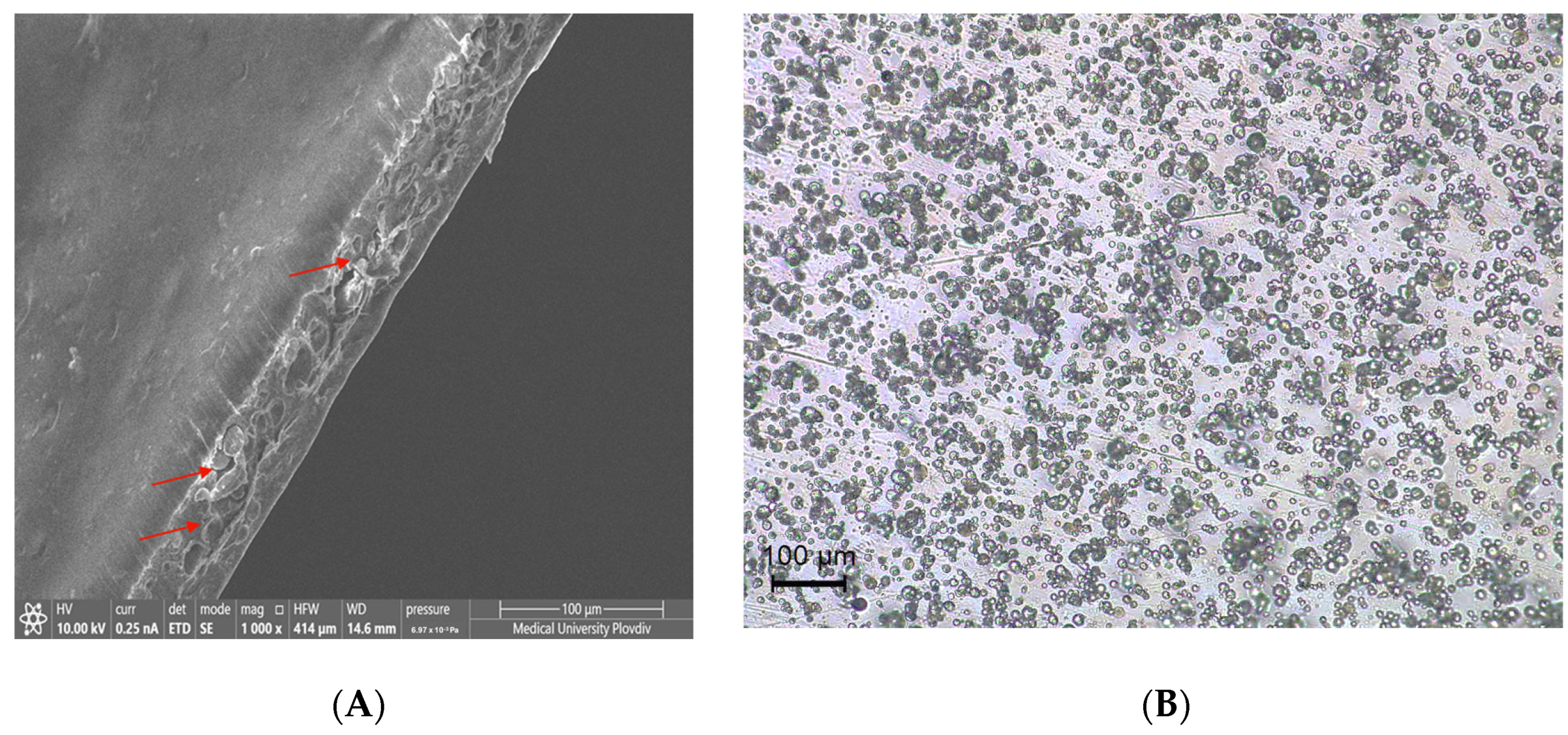Processes 13 01961 g004