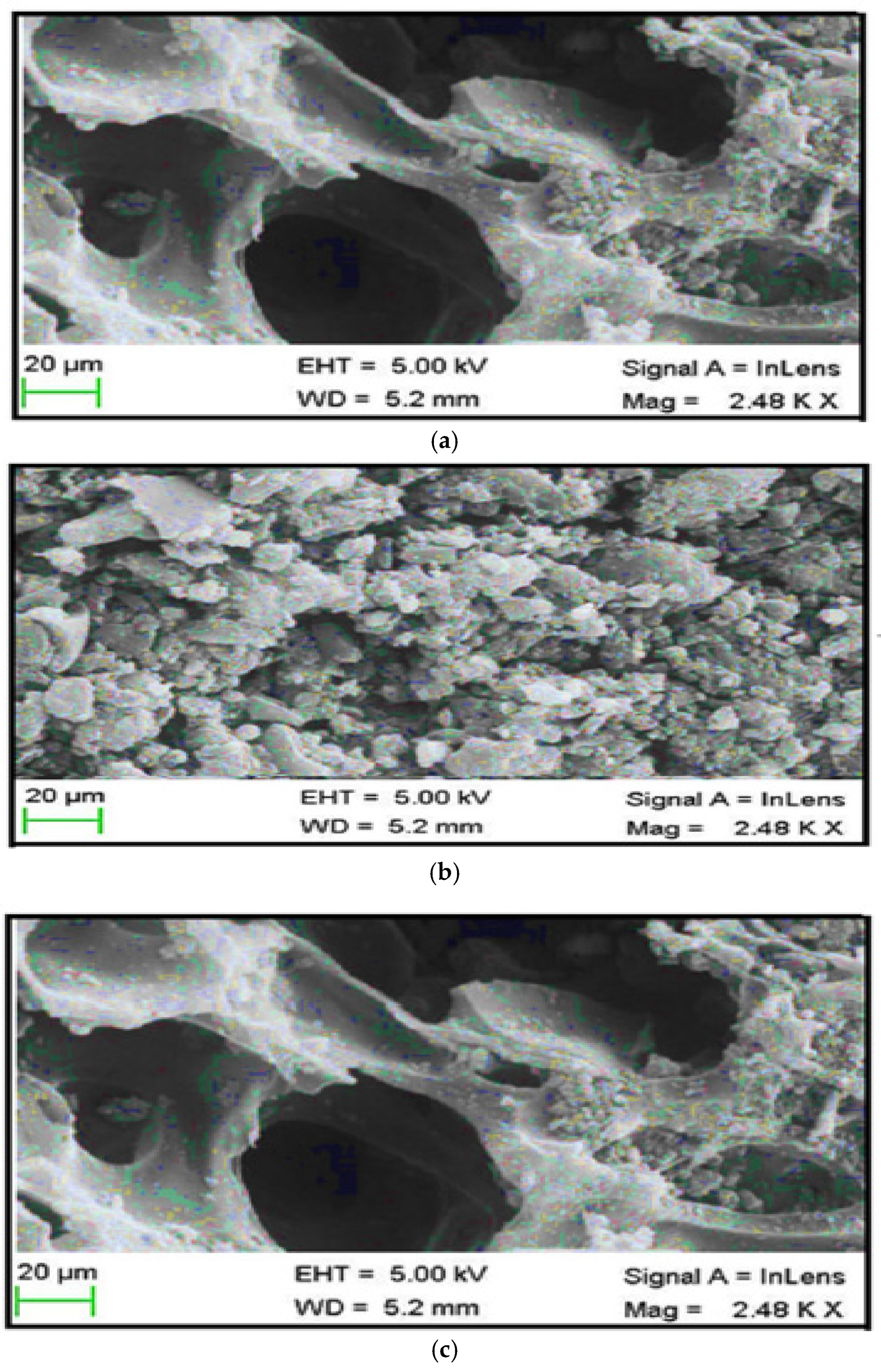Processes 13 01972 g002