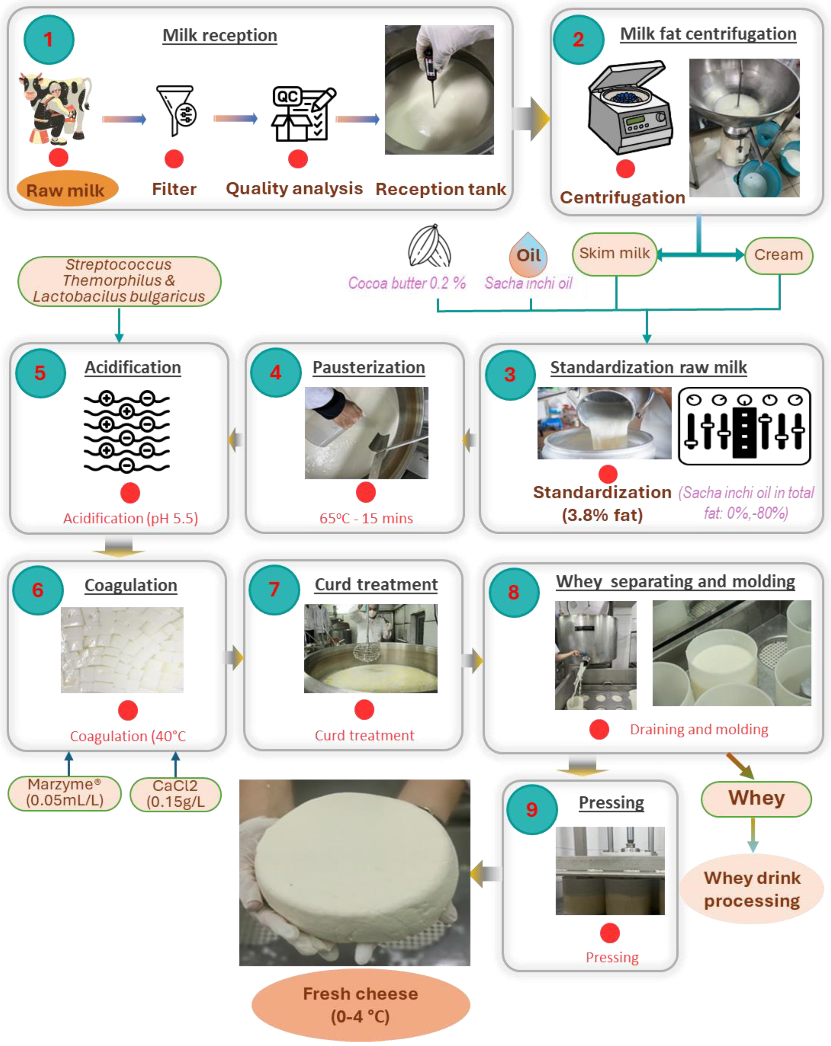 Processes 13 01978 g001