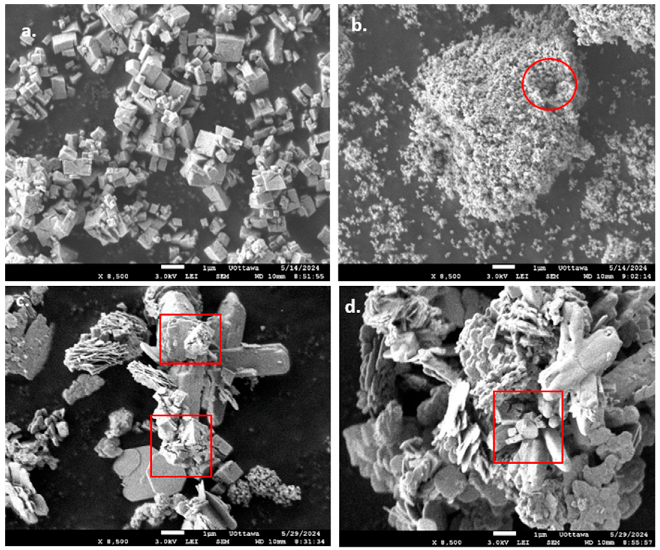 Processes 13 01983 g003