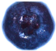 Processes 13 02006 i009