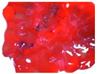 Processes 13 02006 i028