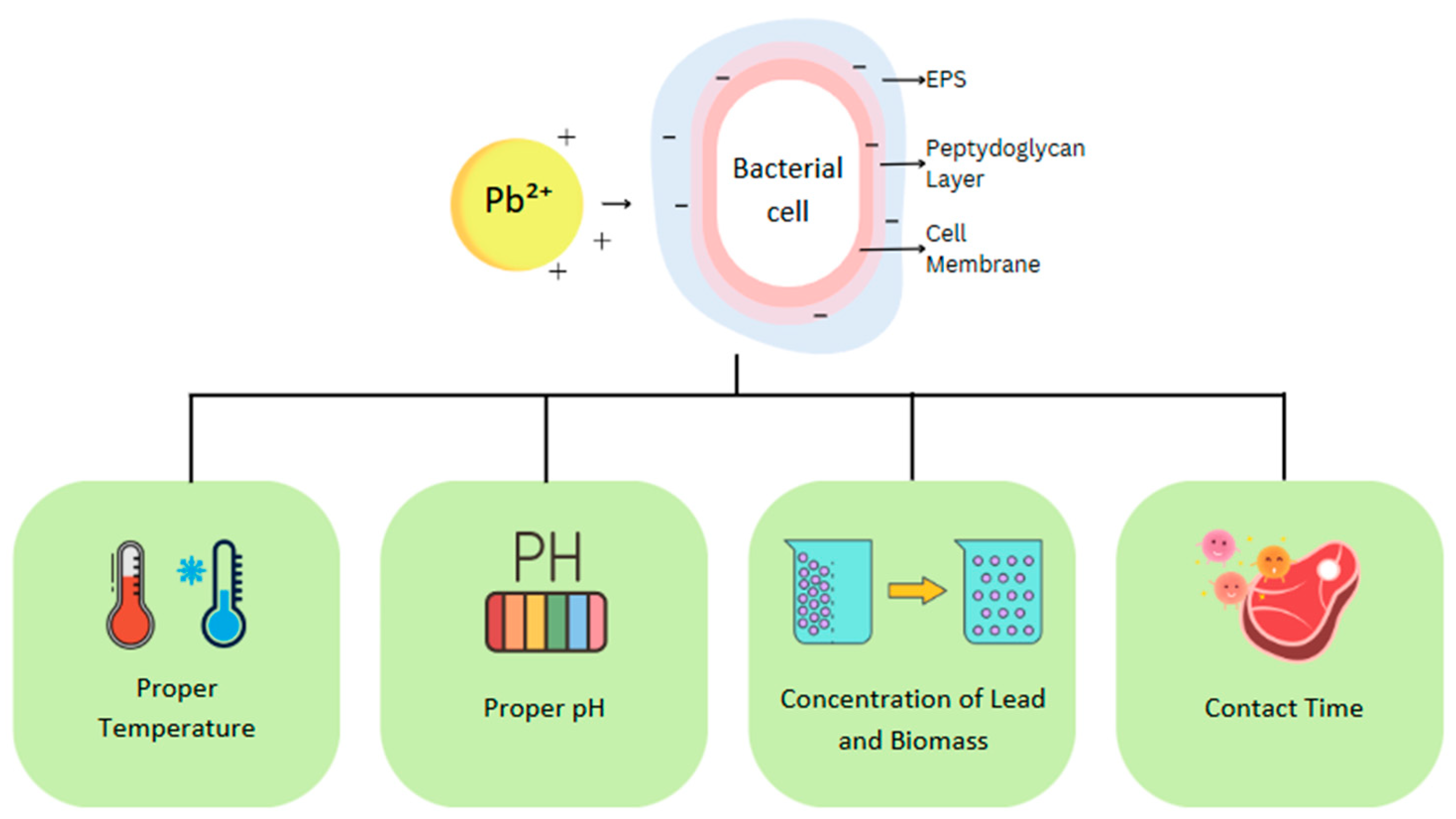Processes 13 02018 g007 Processes 13 02018 g007
