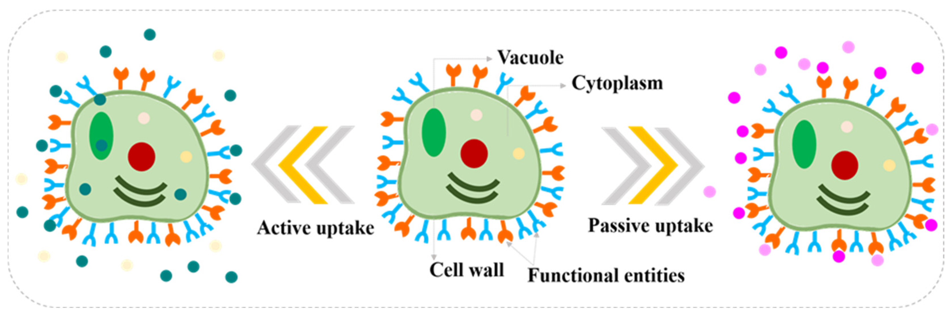 Processes 13 02052 g002