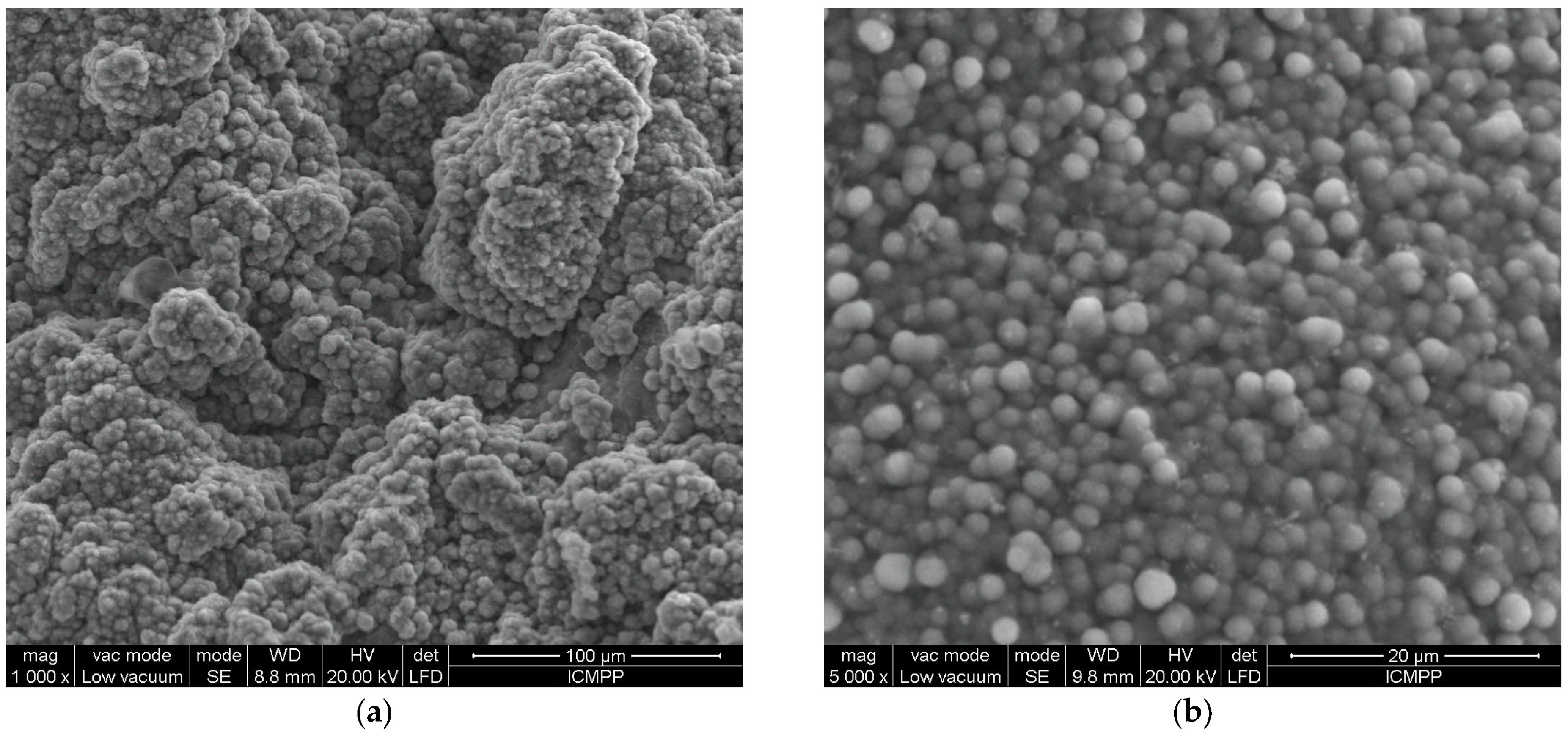 Processes 13 02054 g006