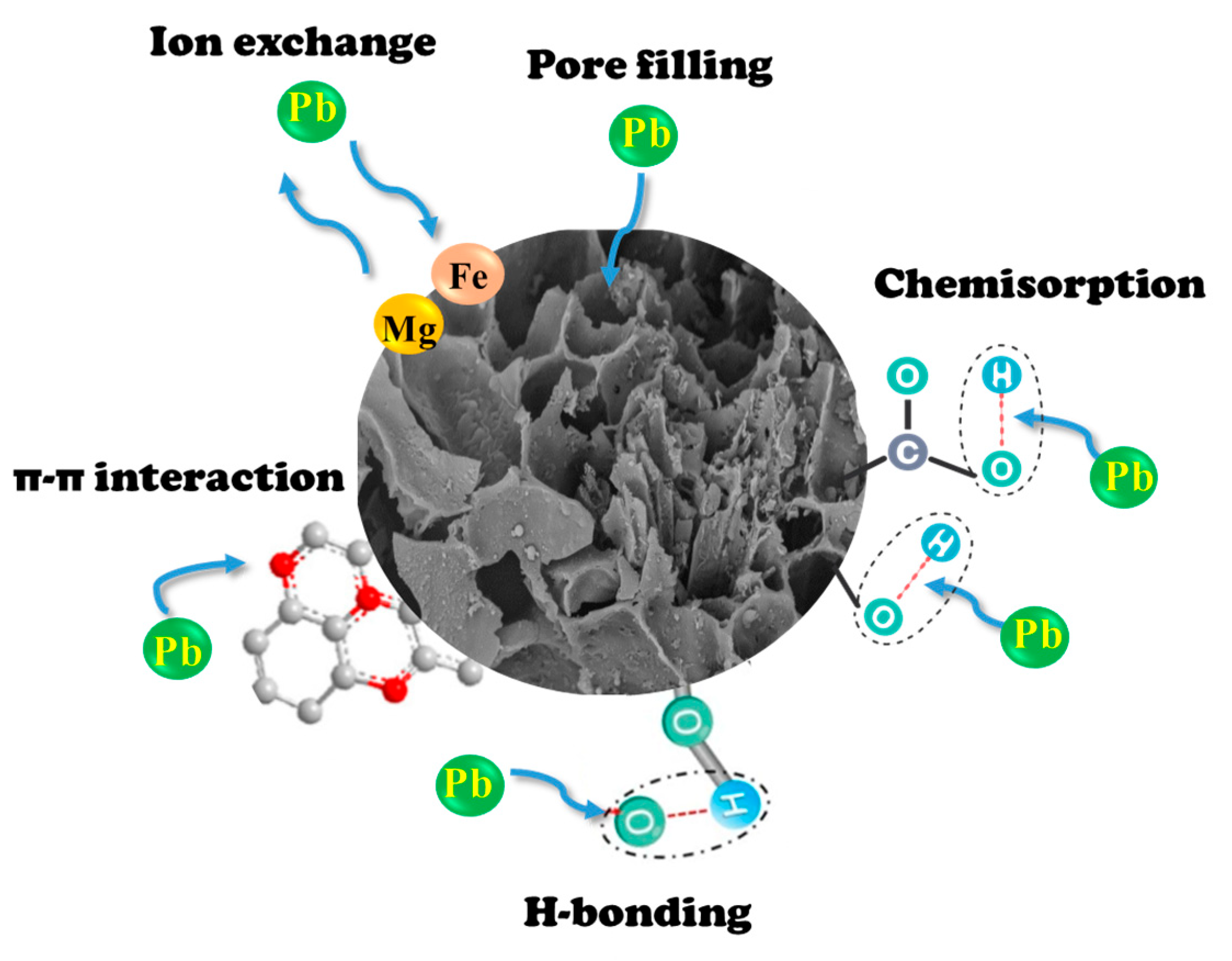 Processes 13 02060 g007
