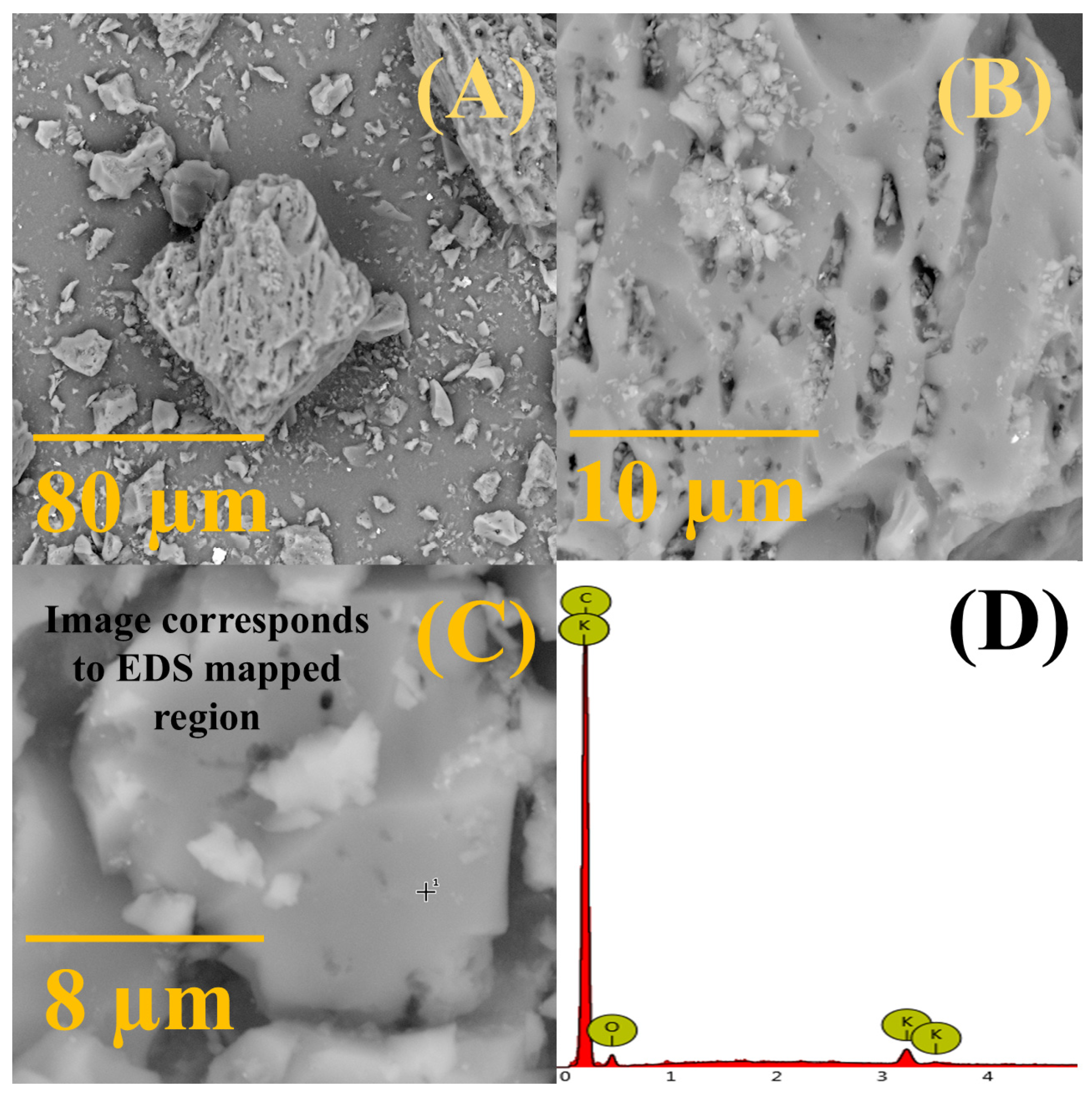 Processes 13 02072 g002