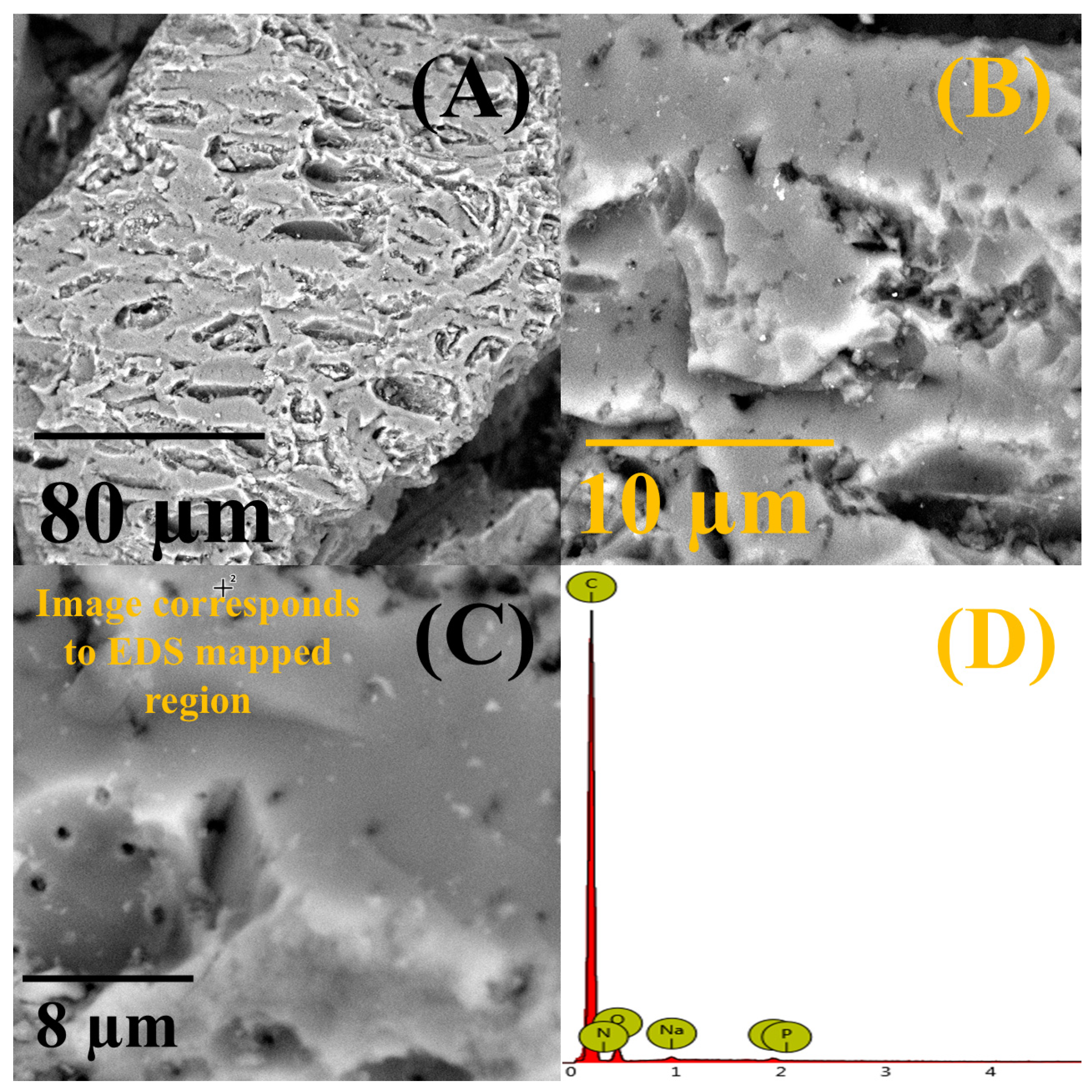 Processes 13 02072 g005