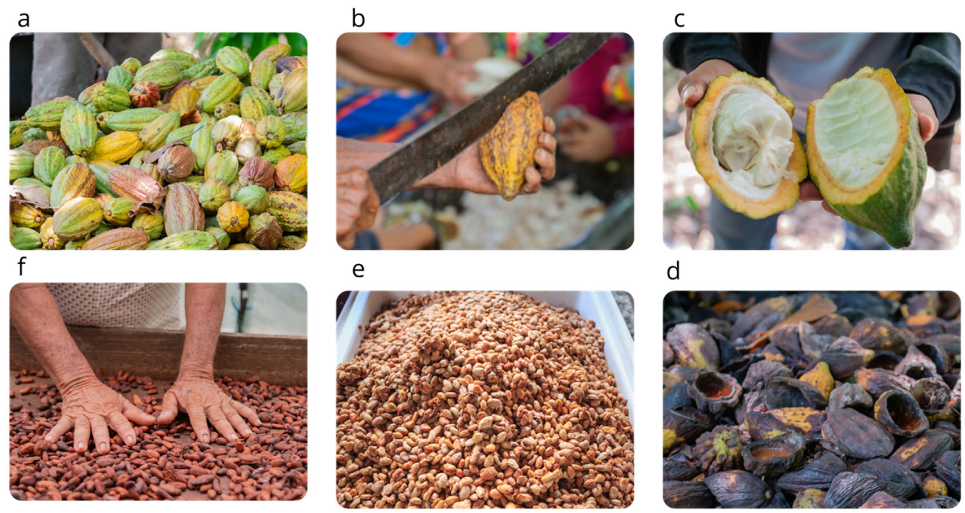 Processes 13 02098 g004