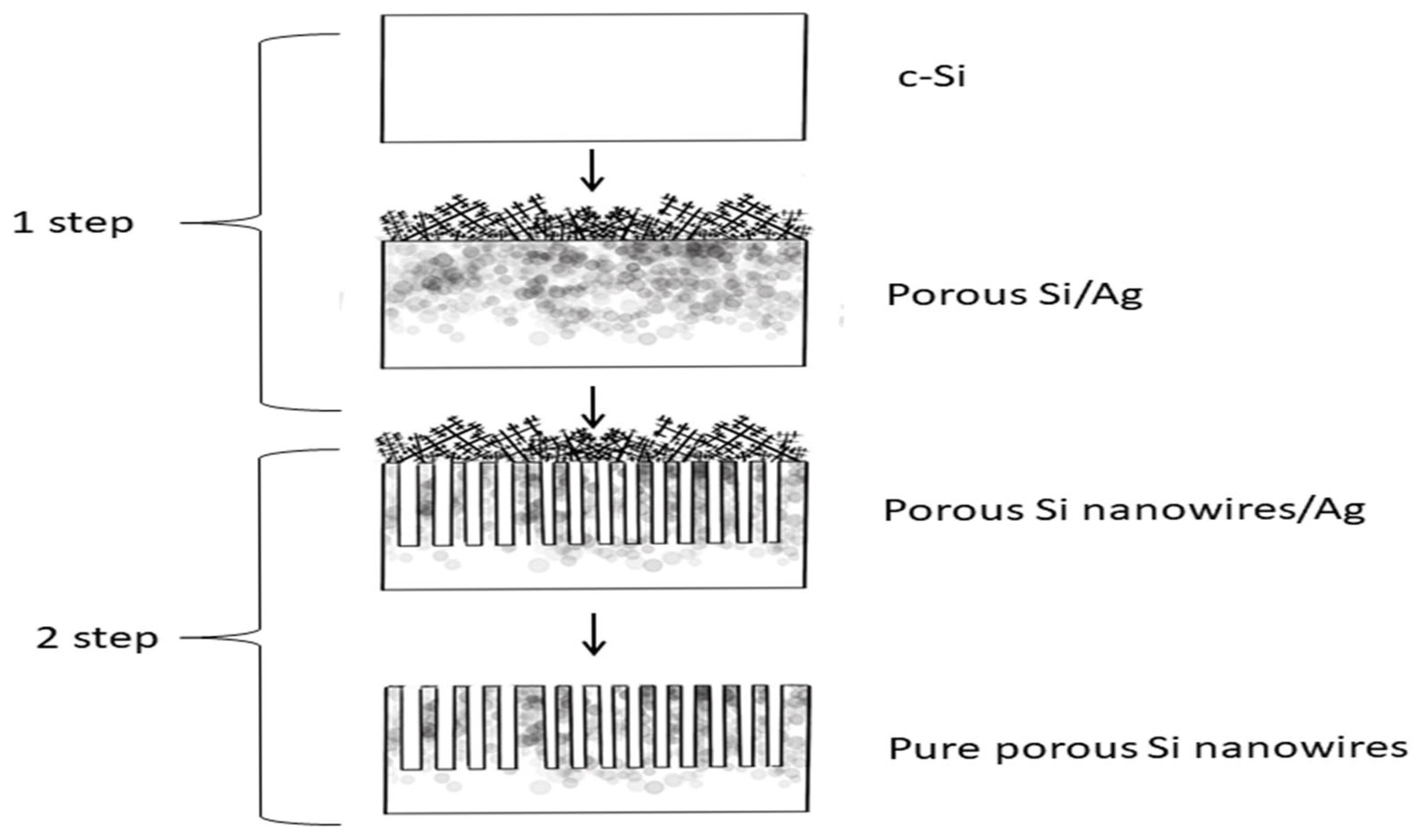 Processes 13 02099 g001