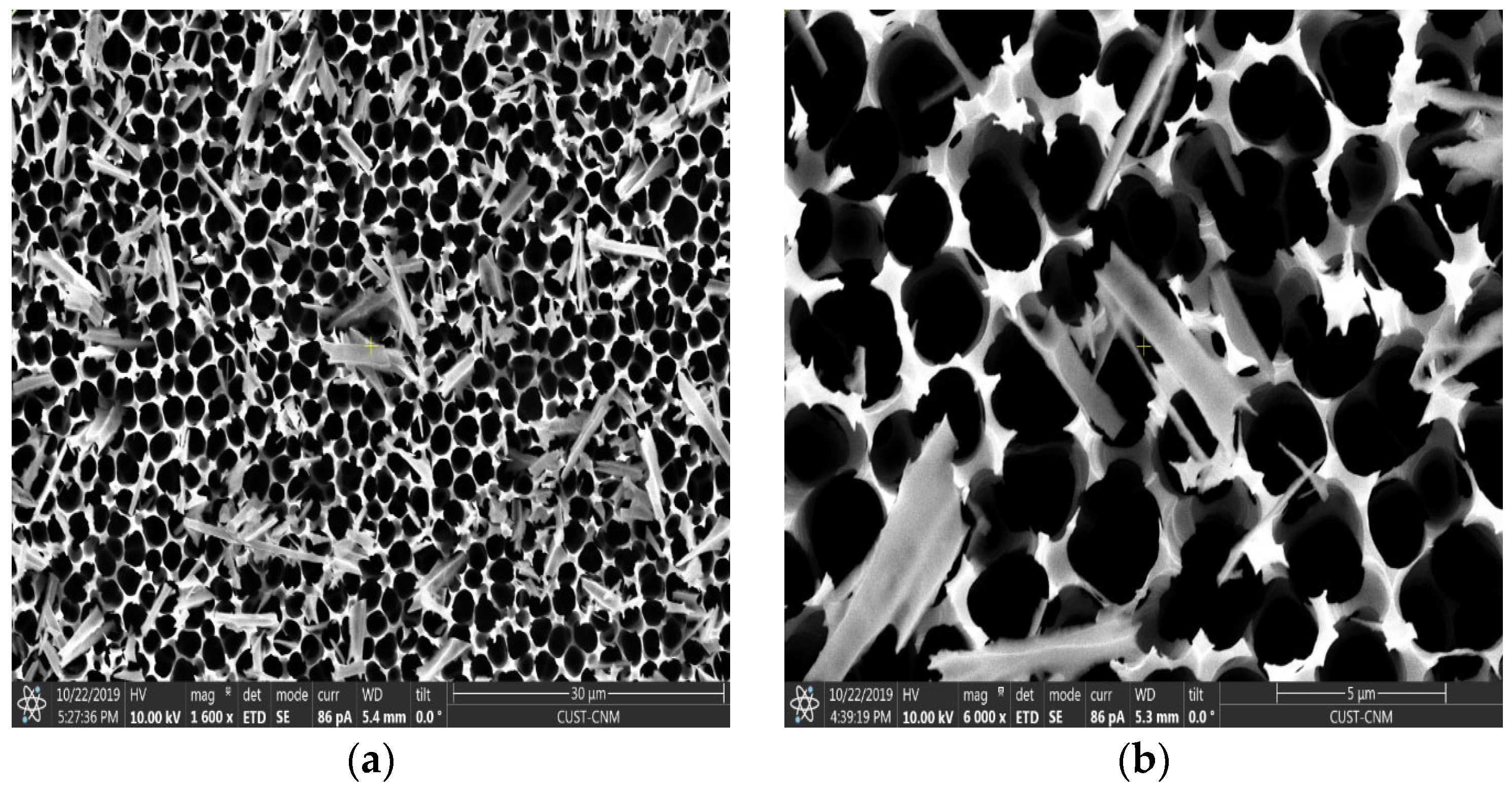 Processes 13 02099 g002